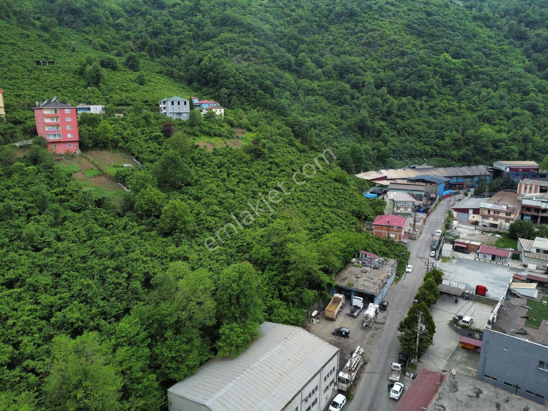 Trabzon Sanayi Bölgesinde Yatırımlık Arazi - Görsel 14