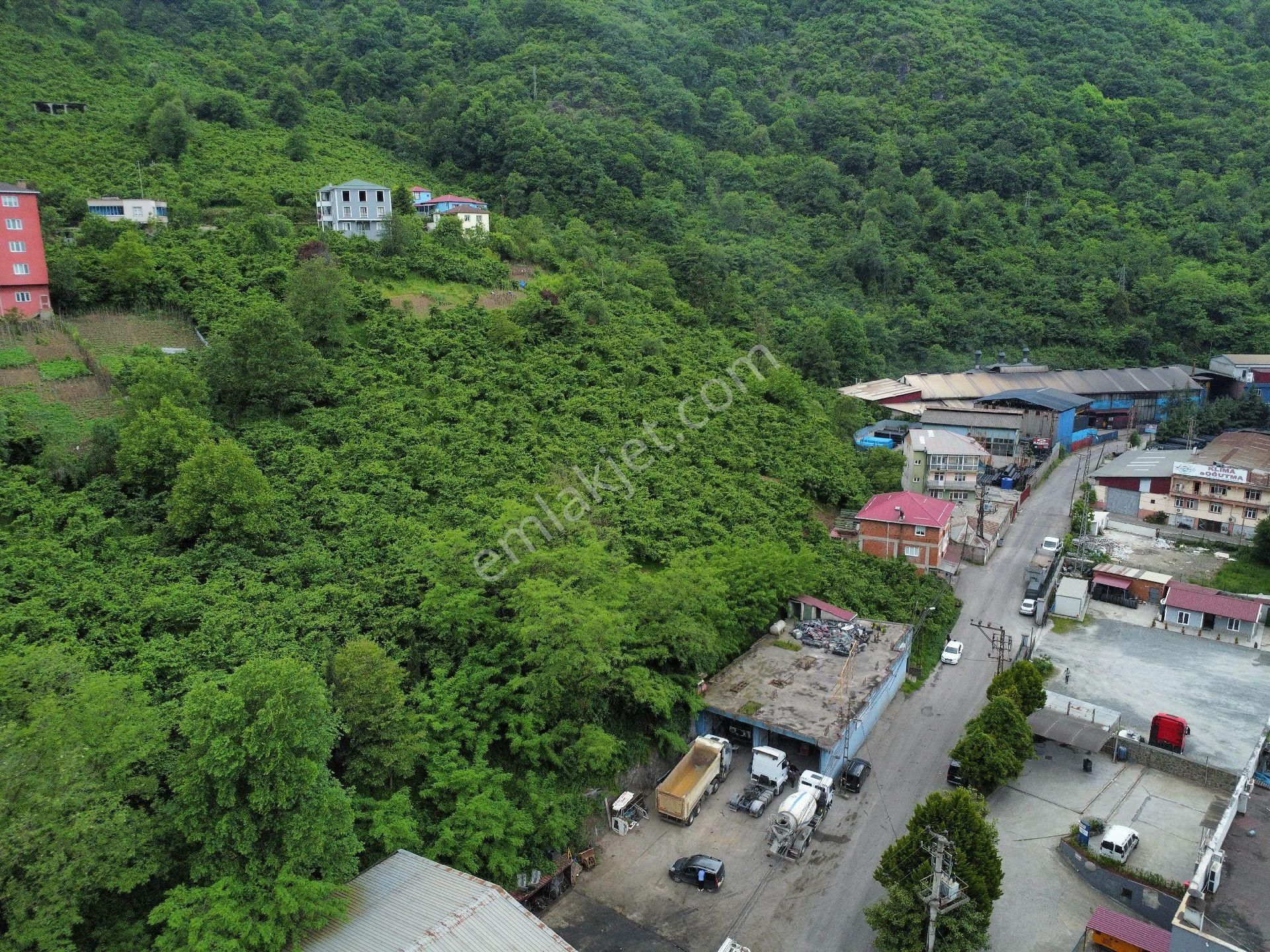 Trabzon Sanayi Bölgesinde Yatırımlık Arazi - Görsel 12