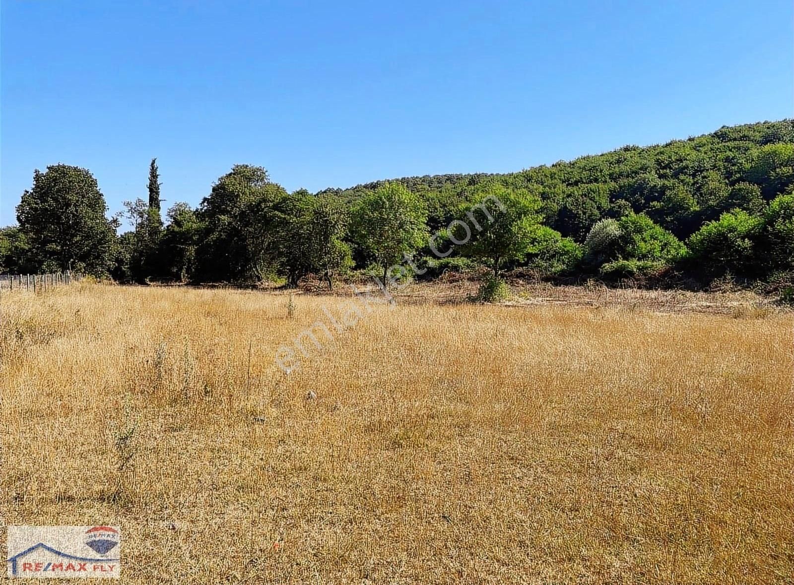 Şile Satmazlı Köyünde Satılık Tarla - Görsel 8