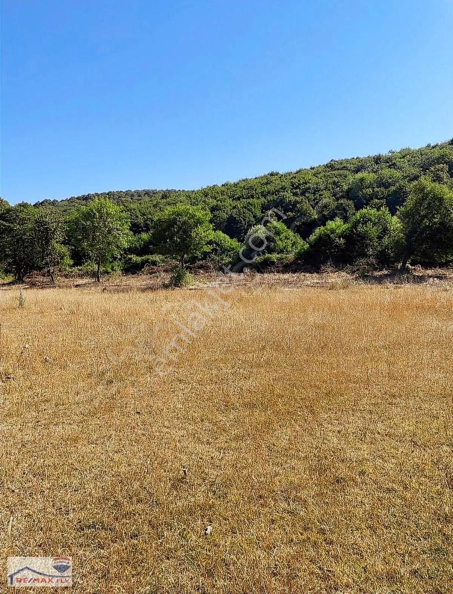 Şile Satmazlı Köyünde Satılık Tarla - Görsel 16