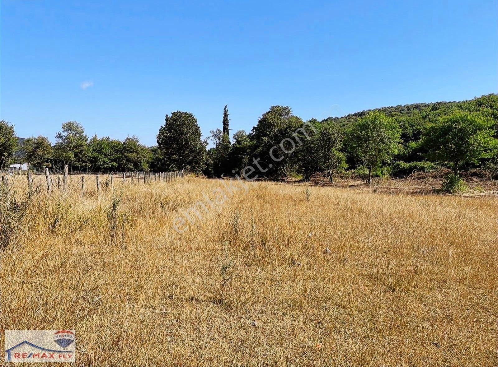 Şile Satmazlı Köyünde Satılık Tarla - Görsel 17