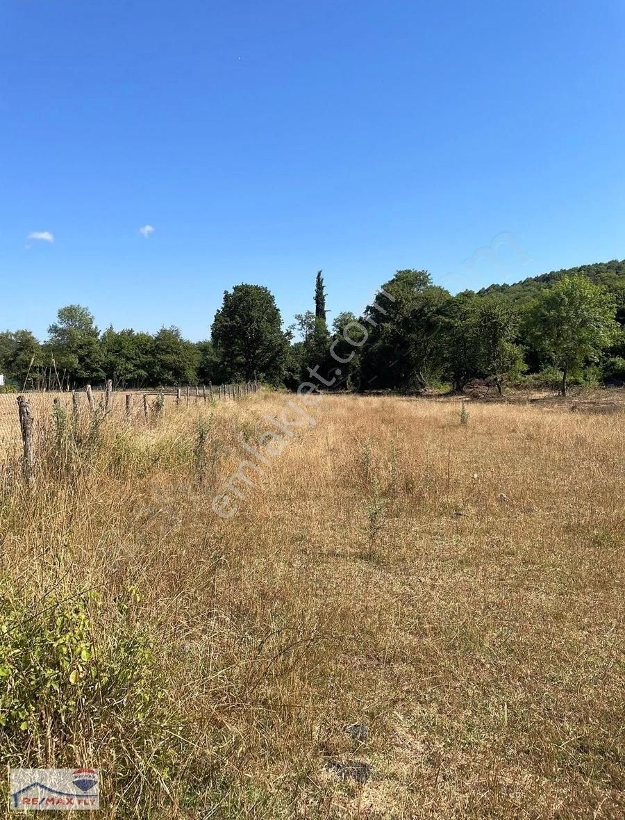 Şile Satmazlı Köyünde Satılık Tarla - Görsel 7