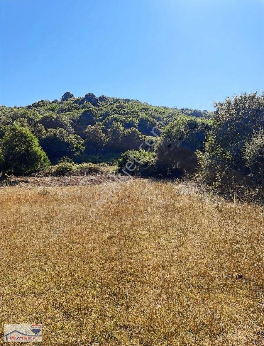 Şile Satmazlı Köyünde Satılık Tarla - Görsel 10