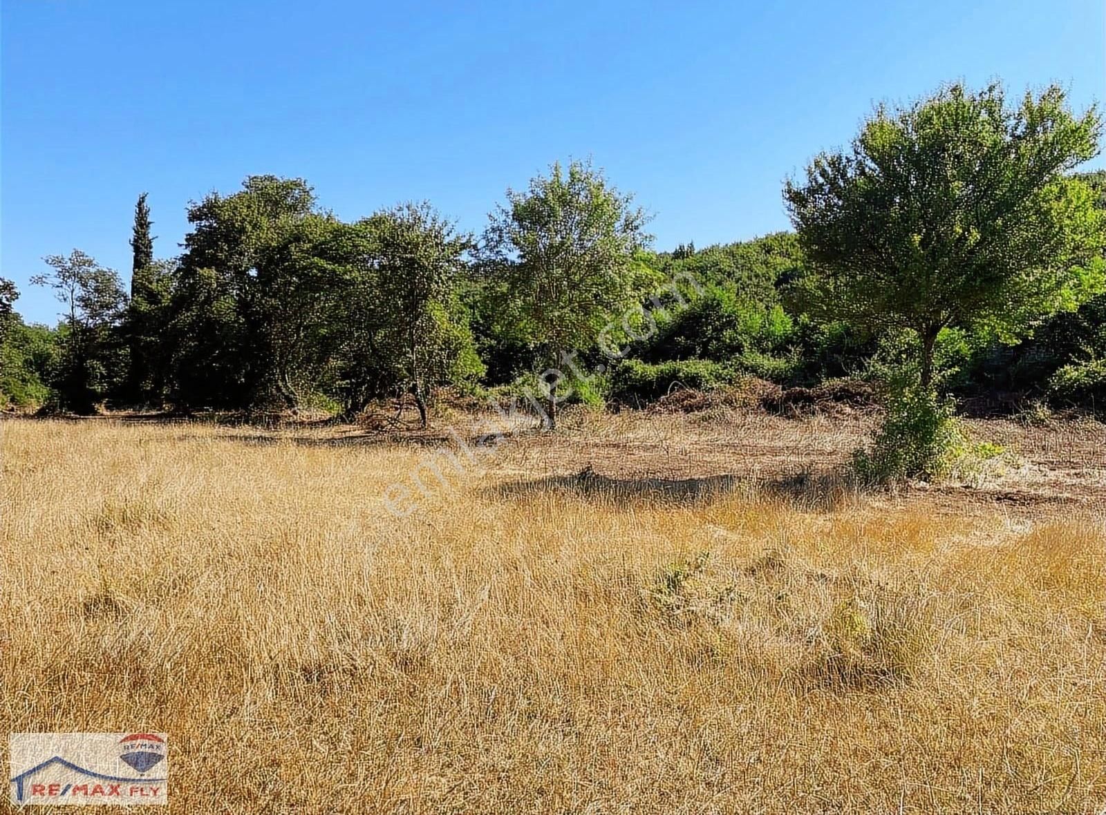 Şile Satmazlı Köyünde Satılık Tarla - Görsel 19