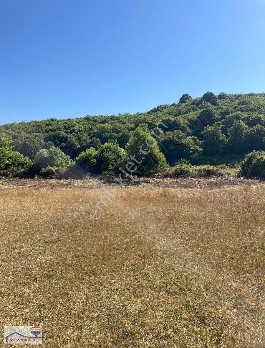 Şile Satmazlı Köyünde Satılık Tarla - Görsel 12