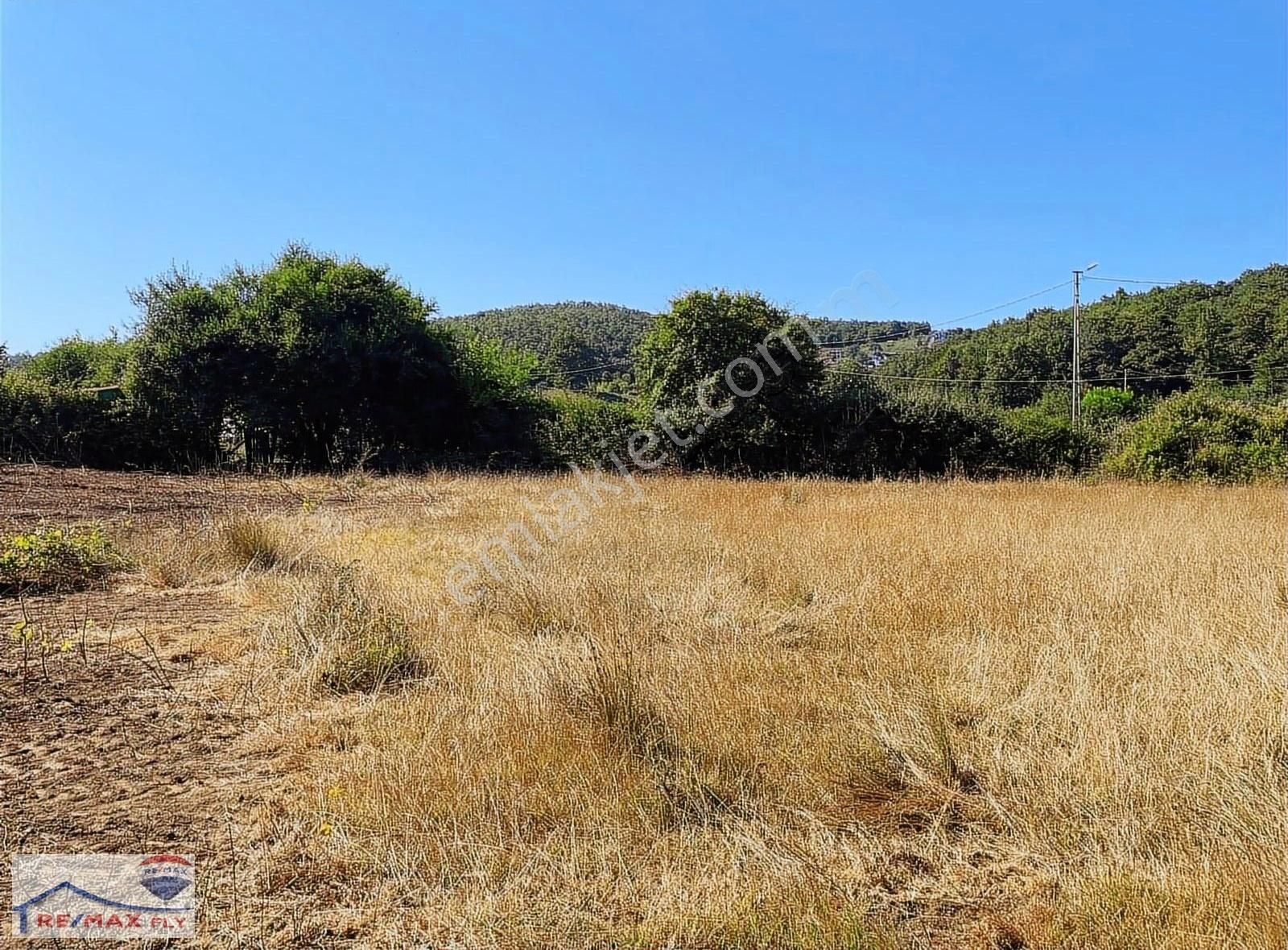 Şile Satmazlı Köyünde Satılık Tarla - Görsel 5