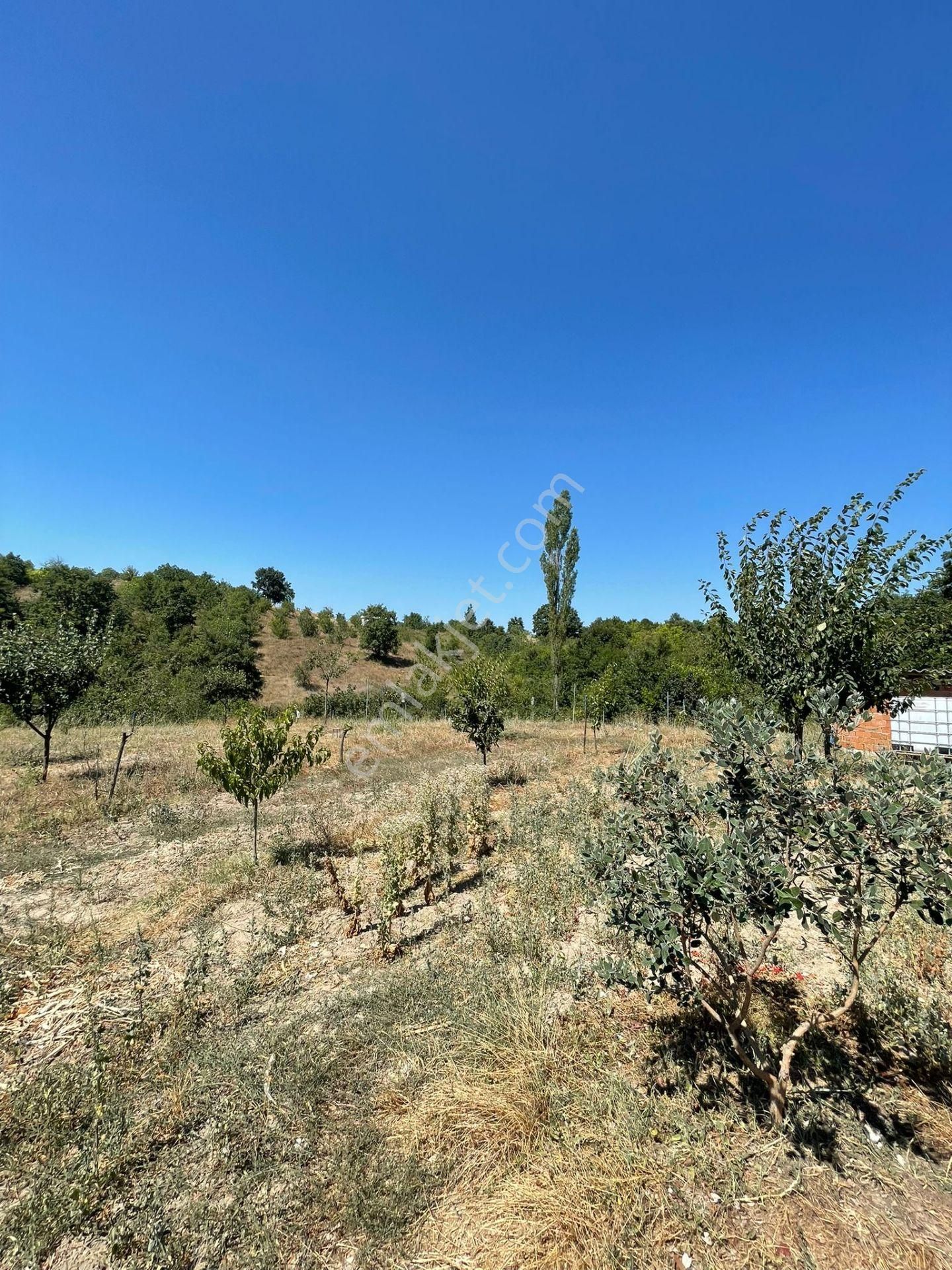 Yenişehir Kızılköy'de Satılık Tarla İçin'de 3 Katlı Ev - Görsel 16