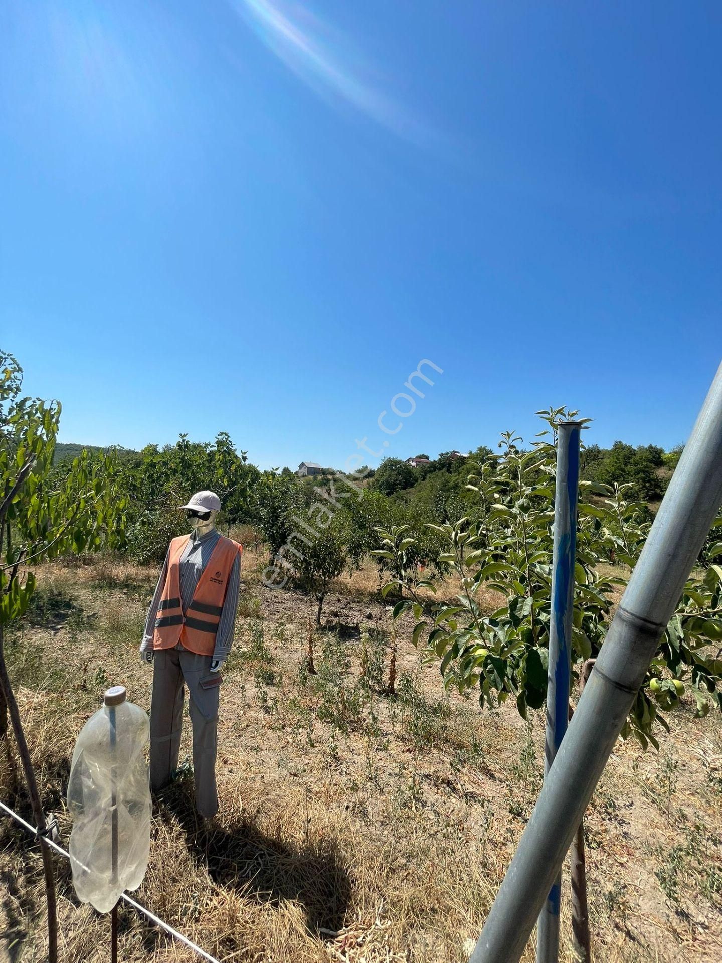 Yenişehir Kızılköy'de Satılık Tarla İçin'de 3 Katlı Ev - Görsel 13