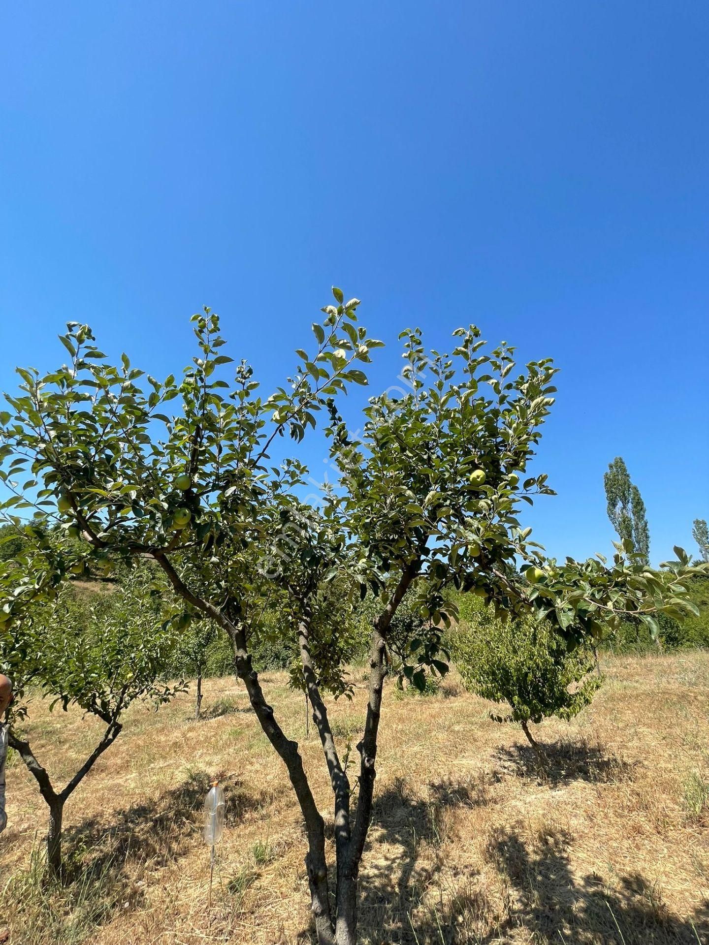 Yenişehir Kızılköy'de Satılık Tarla İçin'de 3 Katlı Ev - Görsel 7