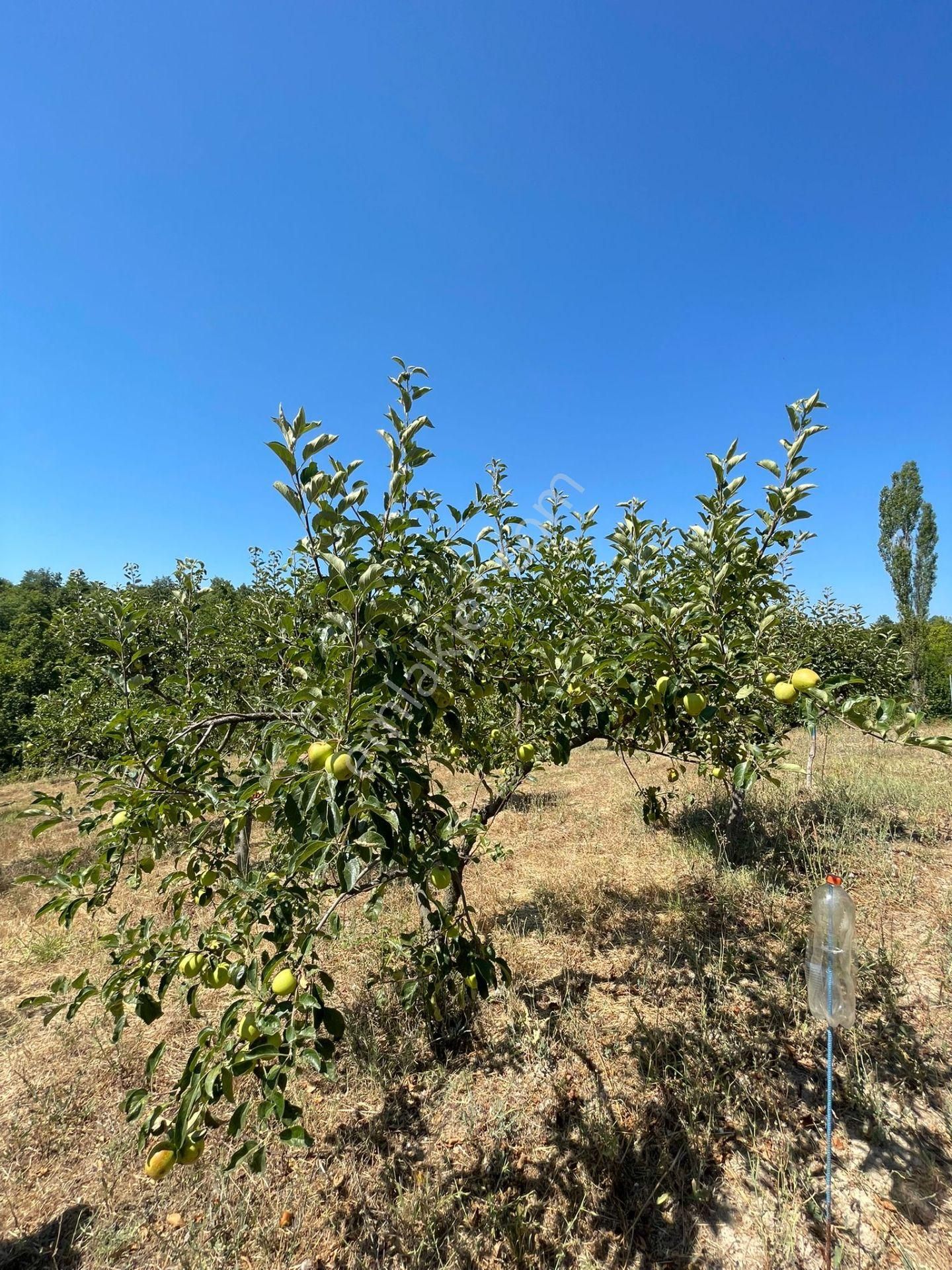 Yenişehir Kızılköy'de Satılık Tarla İçin'de 3 Katlı Ev - Görsel 12