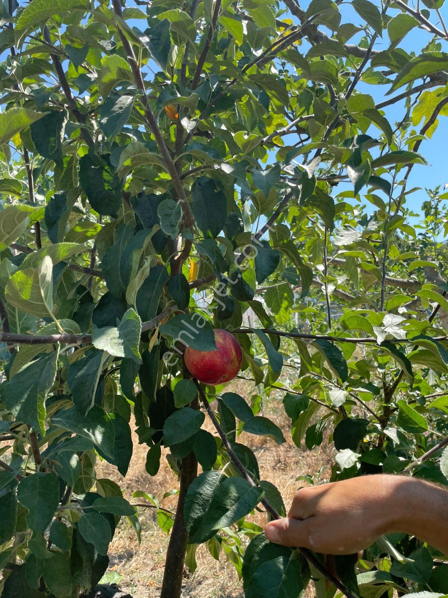 Yenişehir Kızılköy'de Satılık Tarla İçin'de 3 Katlı Ev - Görsel 11