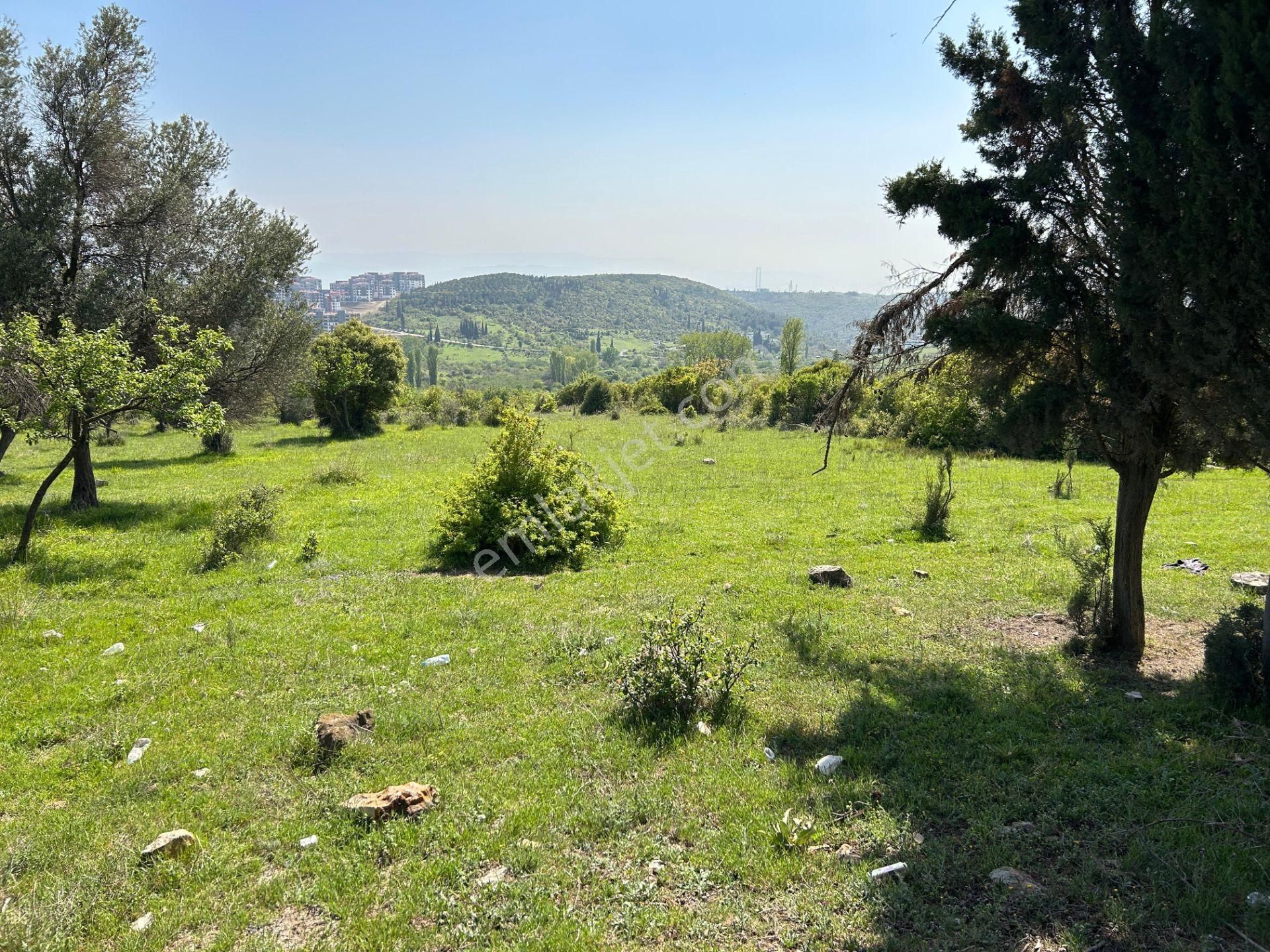 Dilovası Tavşancılda 957 M2 Satılık Diğer Tarım Arsası