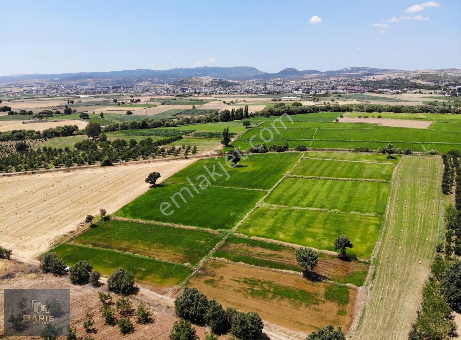 Çanakkale Ezine İlçesine 1 Km Mesafede Satılık Tarla Hissesi - Görsel 15