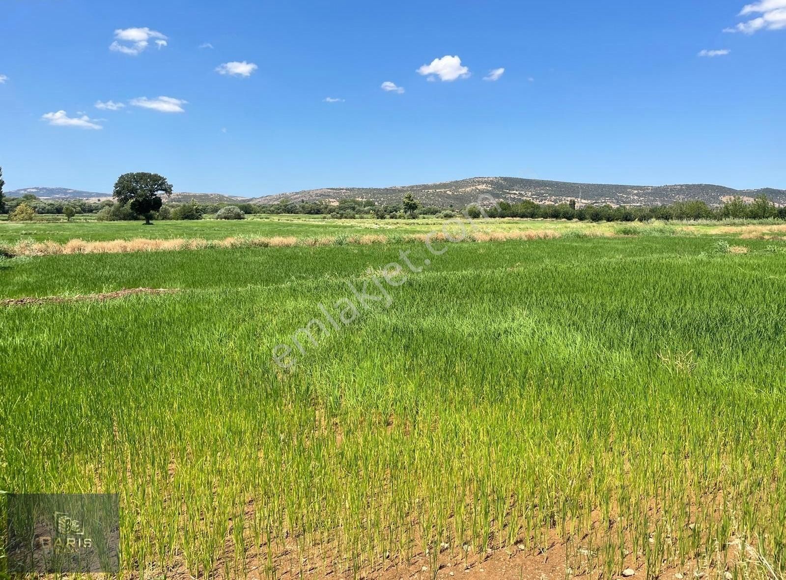 Çanakkale Ezine İlçesine 1 Km Mesafede Satılık Tarla Hissesi - Görsel 7