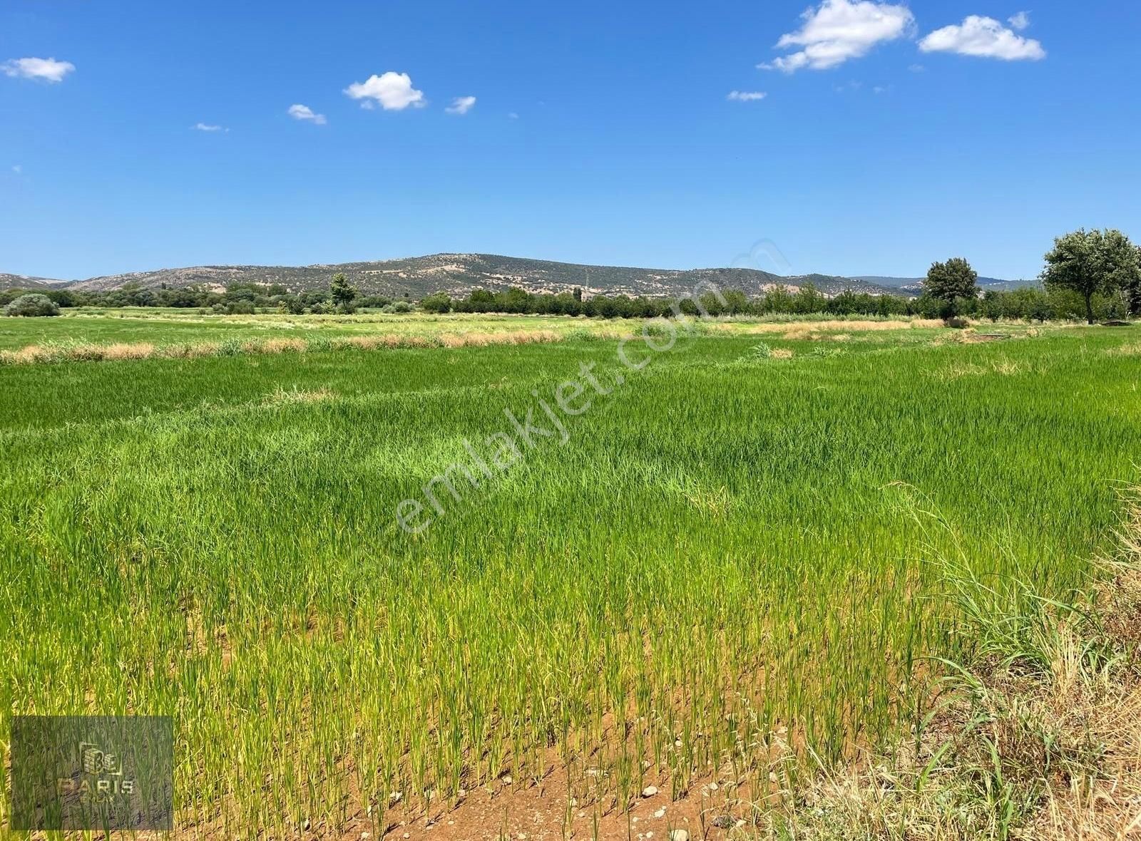 Çanakkale Ezine İlçesine 1 Km Mesafede Satılık Tarla Hissesi - Görsel 16