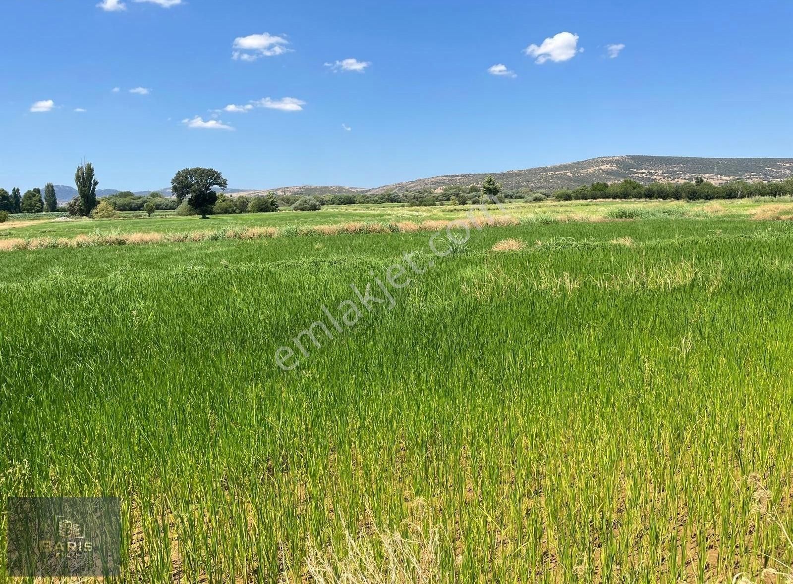 Çanakkale Ezine İlçesine 1 Km Mesafede Satılık Tarla Hissesi - Görsel 10