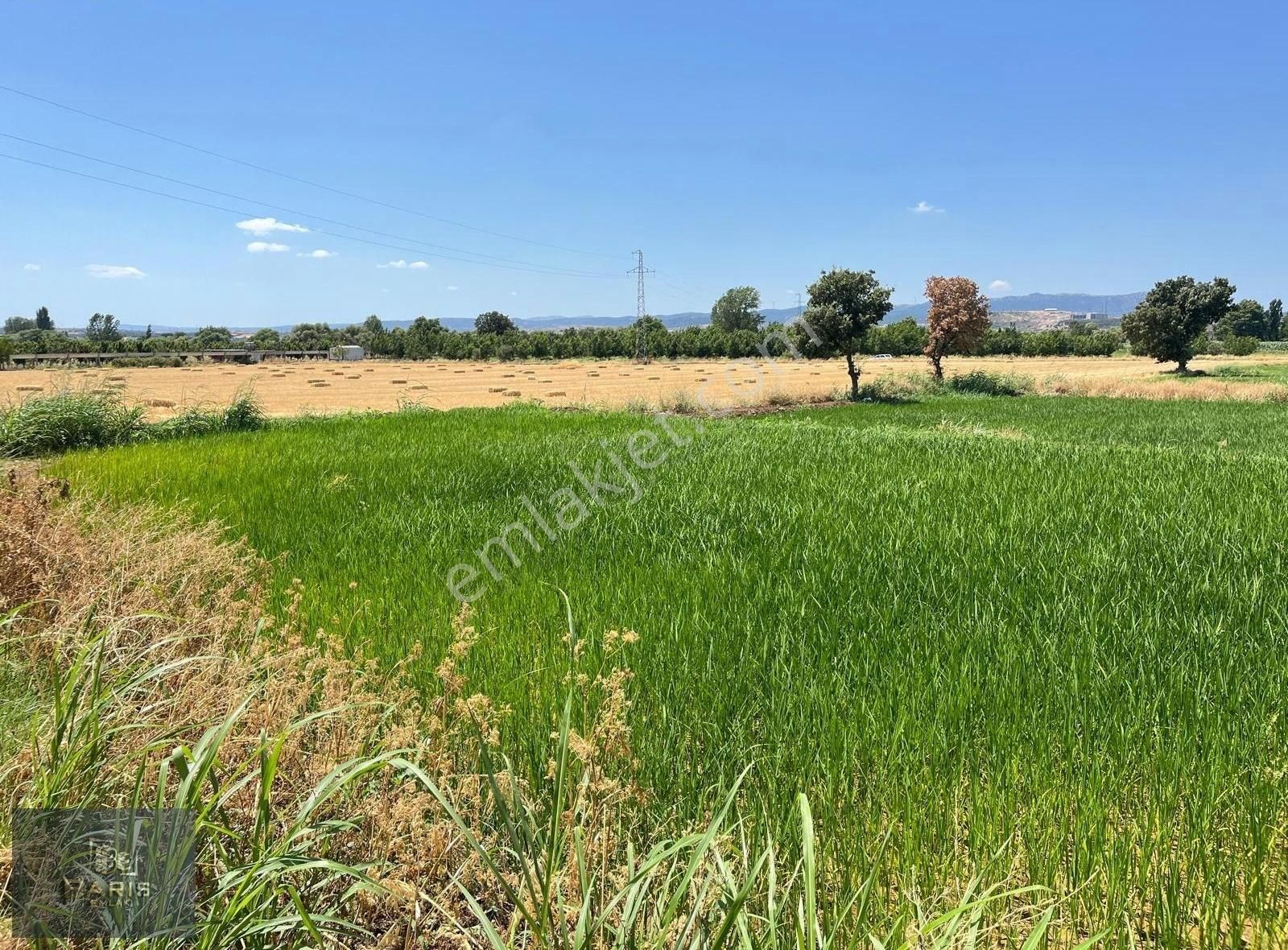 Çanakkale Ezine İlçesine 1 Km Mesafede Satılık Tarla Hissesi - Görsel 6