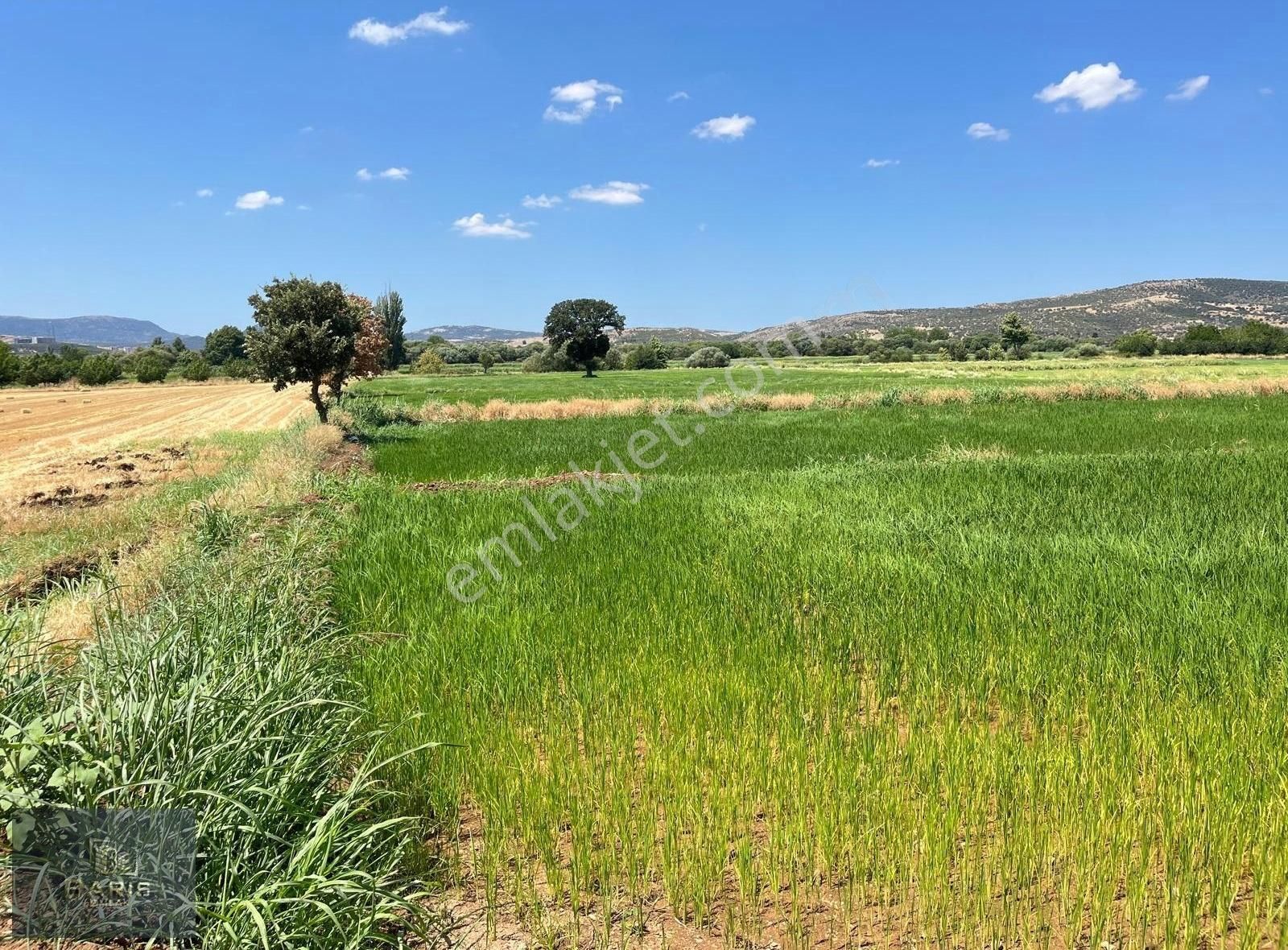 Çanakkale Ezine İlçesine 1 Km Mesafede Satılık Tarla Hissesi - Görsel 11