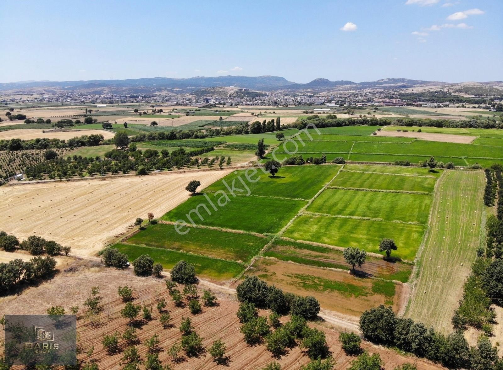 Çanakkale Ezine İlçesine 1 Km Mesafede Satılık Tarla Hissesi - Görsel 5