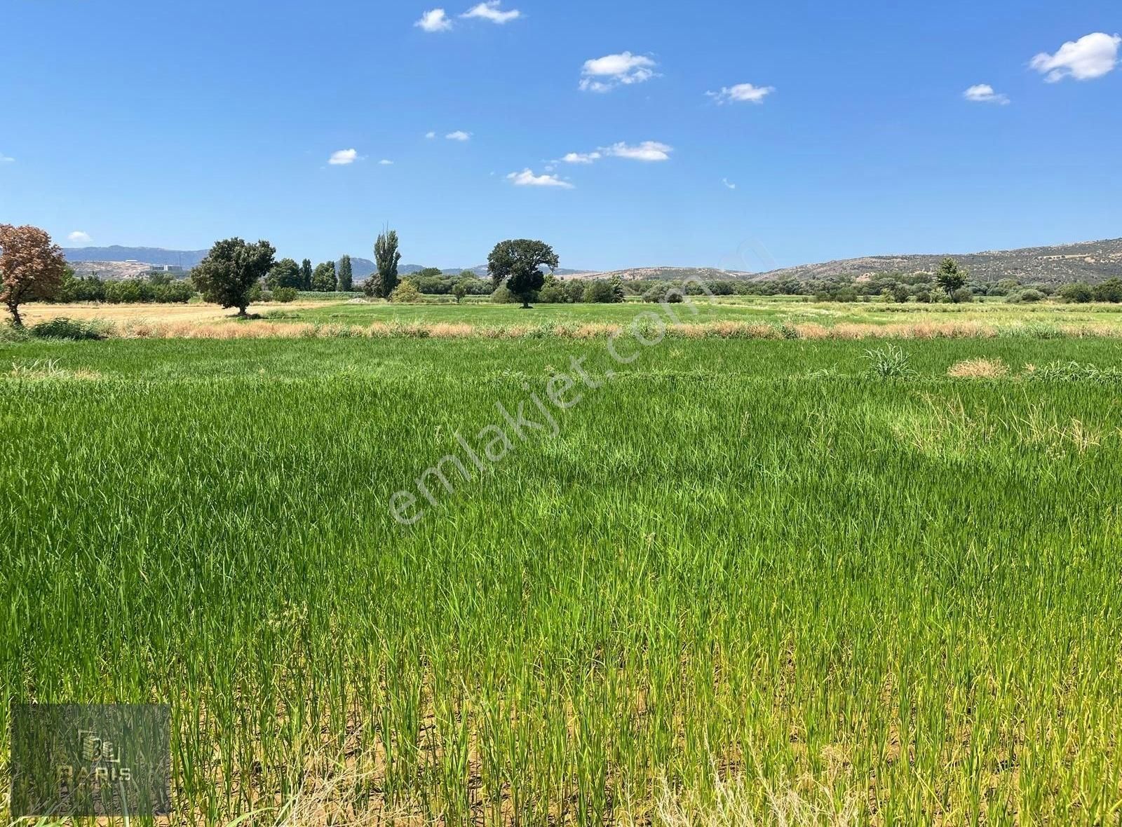 Çanakkale Ezine İlçesine 1 Km Mesafede Satılık Tarla Hissesi - Görsel 18