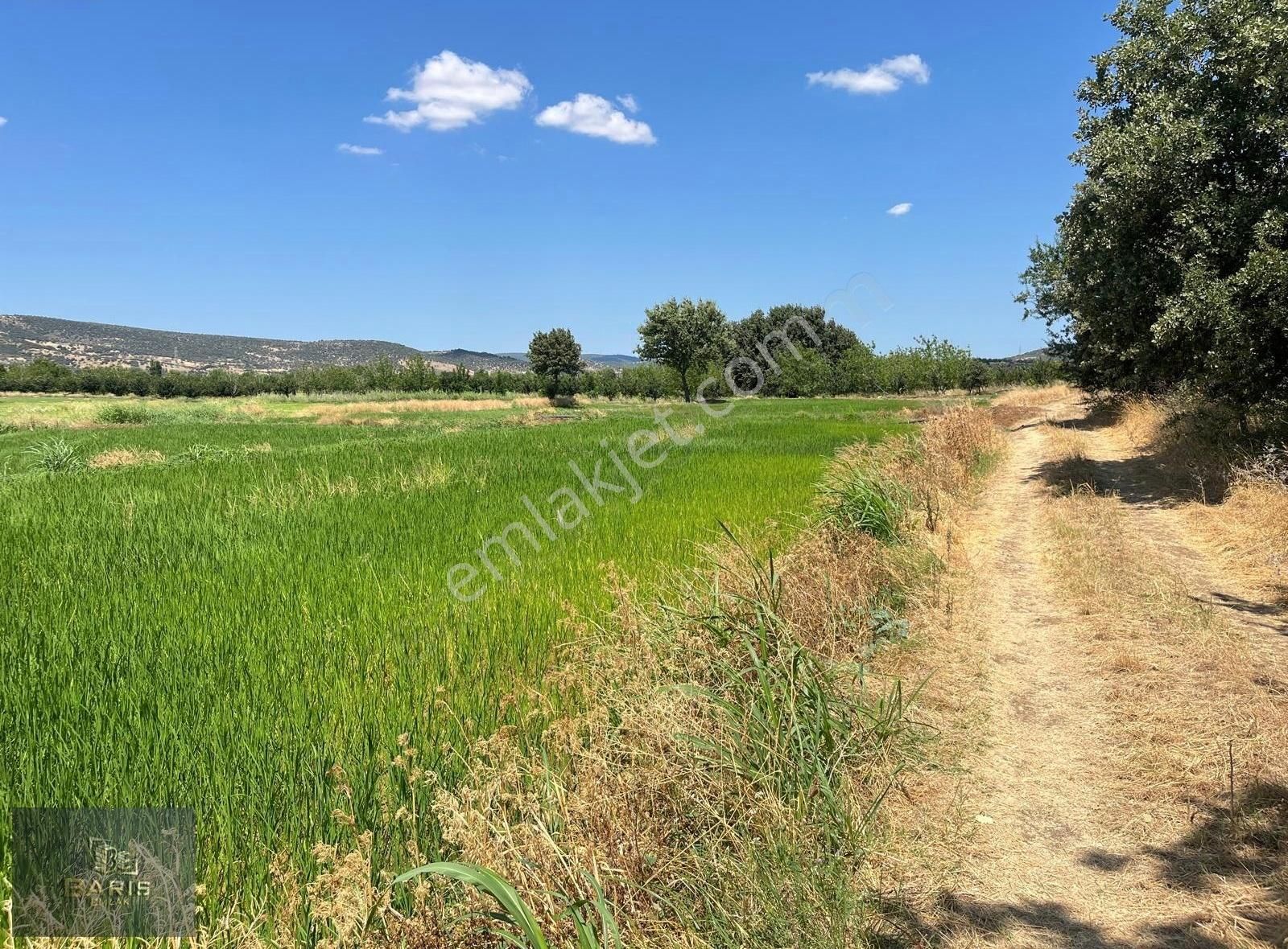 Çanakkale Ezine İlçesine 1 Km Mesafede Satılık Tarla Hissesi - Görsel 23