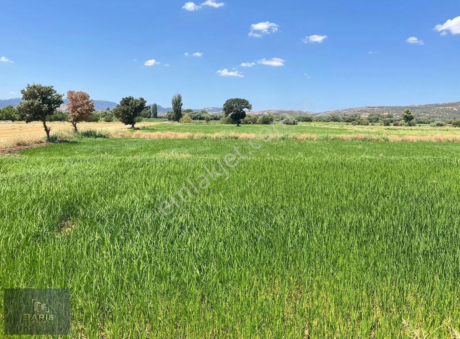 Çanakkale Ezine İlçesine 1 Km Mesafede Satılık Tarla Hissesi - Görsel 22