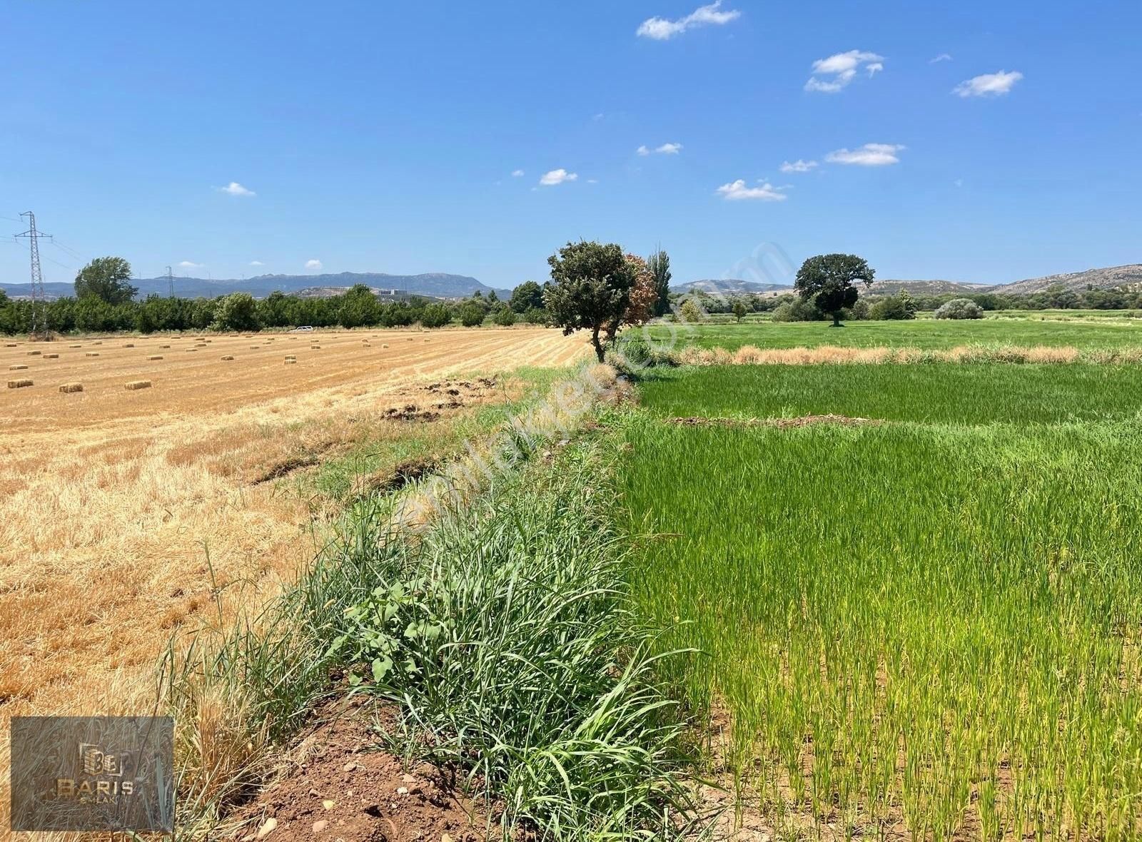 Çanakkale Ezine İlçesine 1 Km Mesafede Satılık Tarla Hissesi - Görsel 12