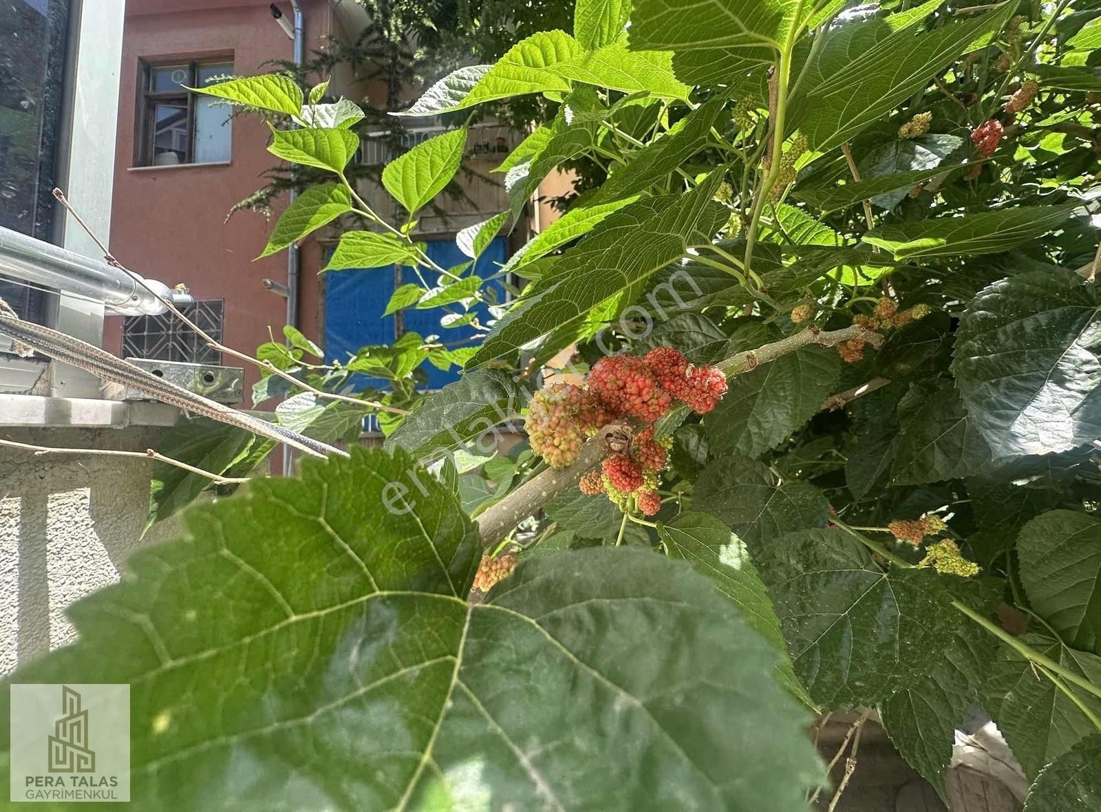 Satılık Müstakil Bina Krediye Uygun, Mesken Ruhsatlı