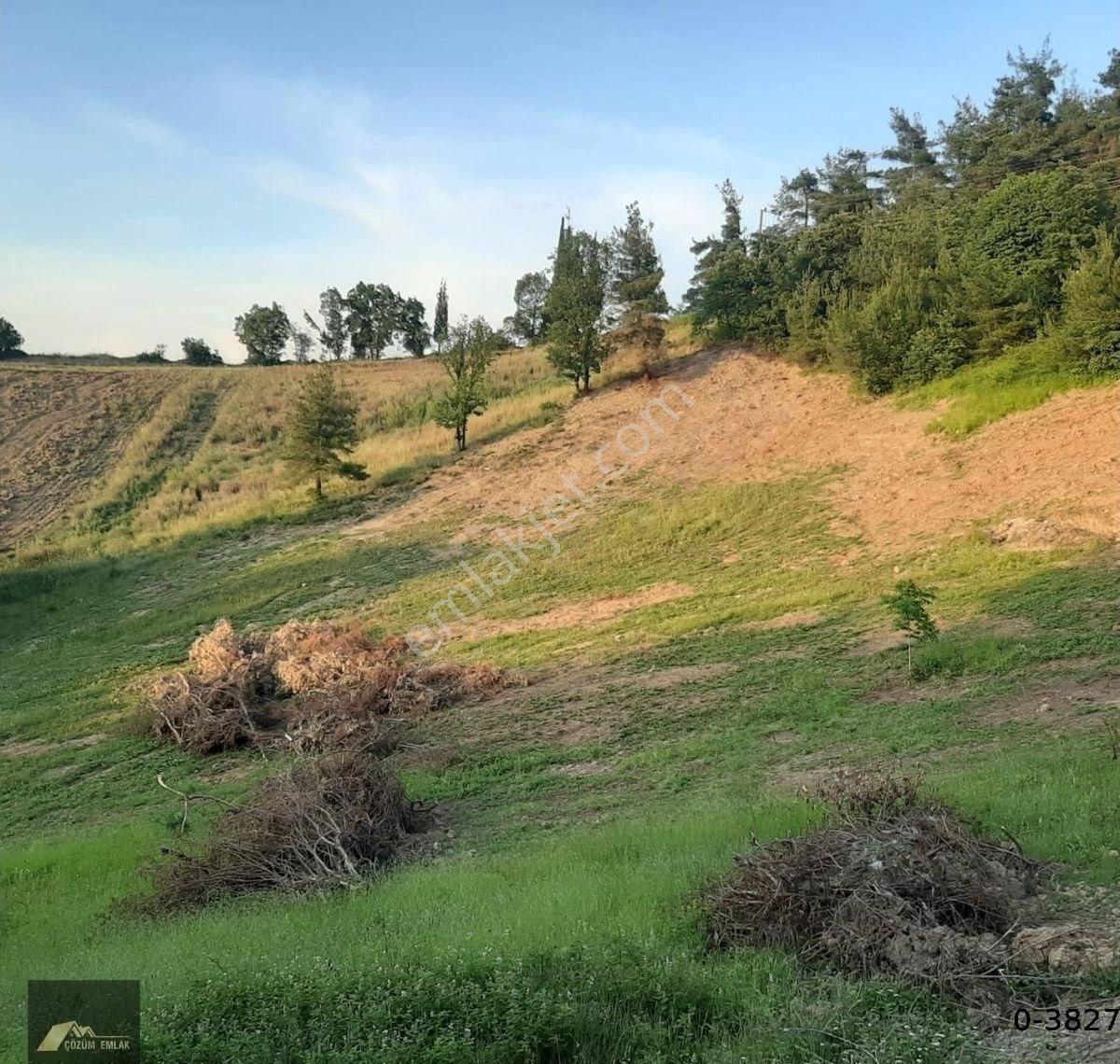 Karamürsel Çamdibi'nde 2488 M2 %5 İmarlı 2 Ayrı Parsel