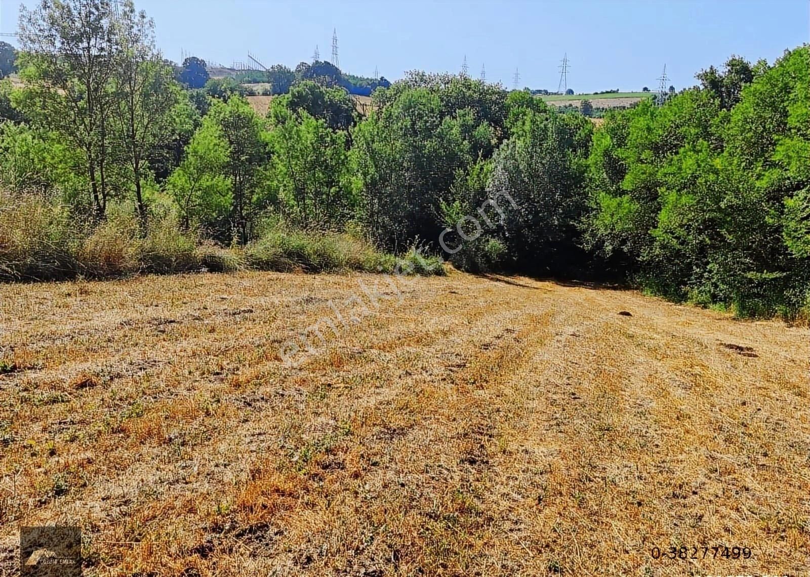 Yalova Çiftlikköy İlyas Köyü'nde Satılık 10 Dönüm Tarla
