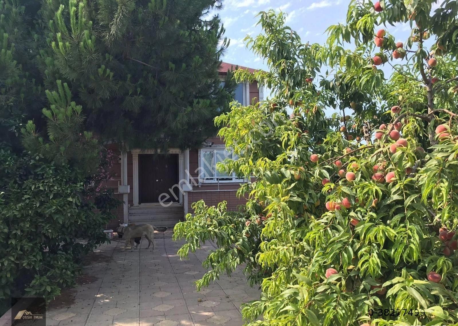 Yalova Altınova’da Bahçe İçinde Kiralık 3+1, 170 M² Dubleks Villa
