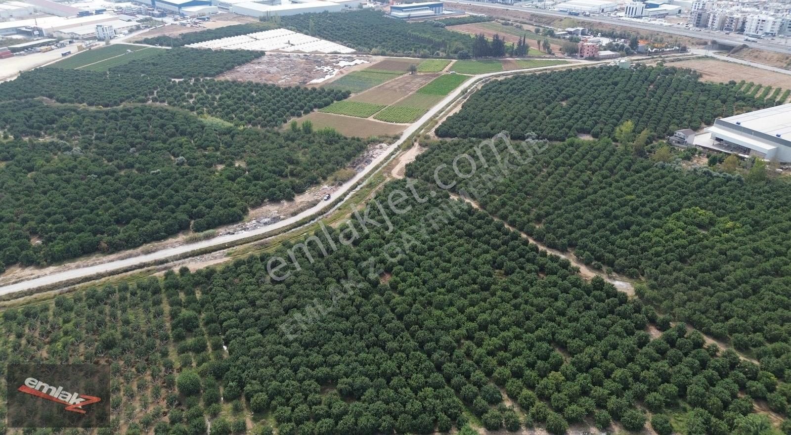 Yeni Planda Yola Cepheli Lojistik Ve Depolama Alanı 2,500 M2 - Görsel 12