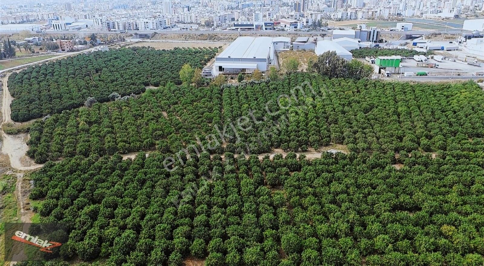 Yeni Planda Yola Cepheli Lojistik Ve Depolama Alanı 2,500 M2 - Görsel 14