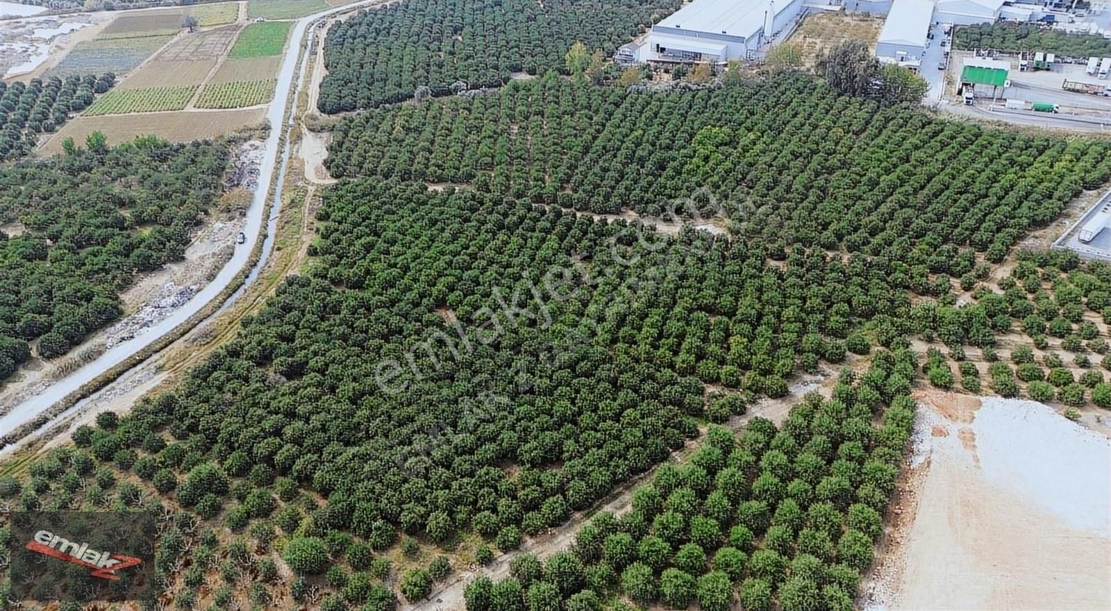 Yeni Planda Yola Cepheli Lojistik Ve Depolama Alanı 2,500 M2 - Görsel 28