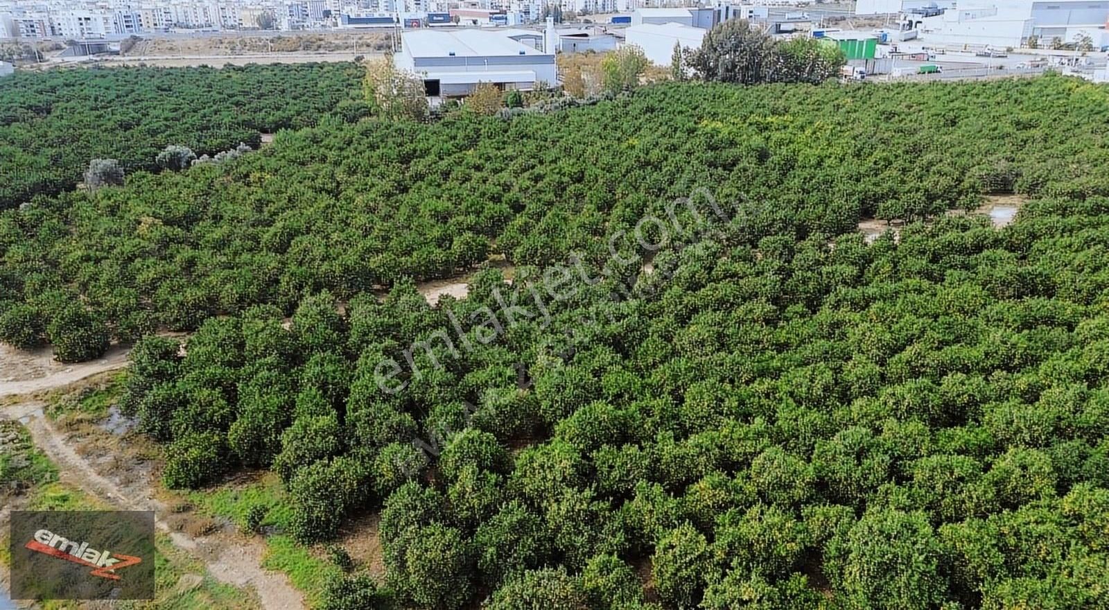 Yeni Planda Yola Cepheli Lojistik Ve Depolama Alanı 2,500 M2 - Görsel 13