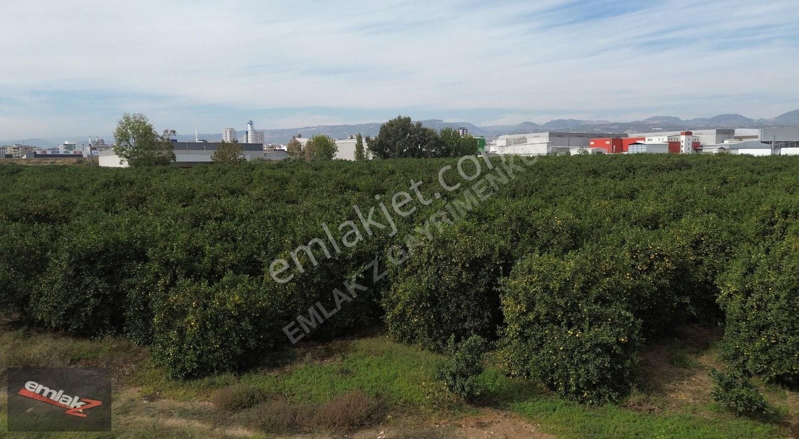 Yeni Planda Yola Cepheli Lojistik Ve Depolama Alanı 2,500 M2 - Görsel 3