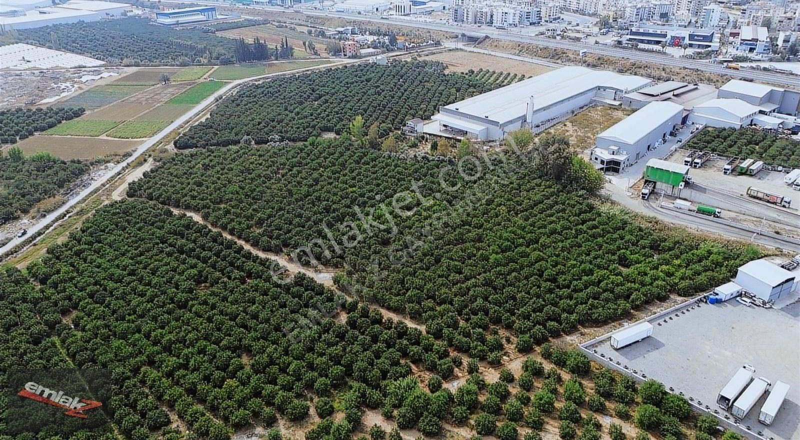 Yeni Planda Yola Cepheli Lojistik Ve Depolama Alanı 2,500 M2 - Görsel 15