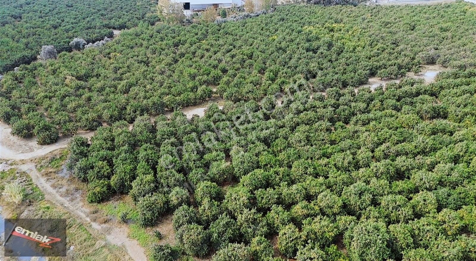 Yeni Planda Yola Cepheli Lojistik Ve Depolama Alanı 2,500 M2 - Görsel 21