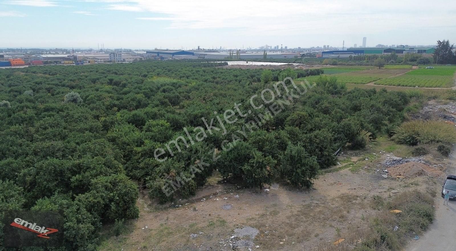 Yeni Planda Yola Cepheli Lojistik Ve Depolama Alanı 2,500 M2 - Görsel 2