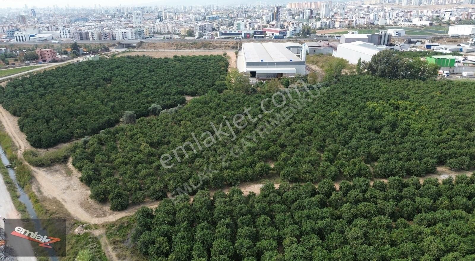 Yeni Planda Yola Cepheli Lojistik Ve Depolama Alanı 2,500 M2 - Görsel 6