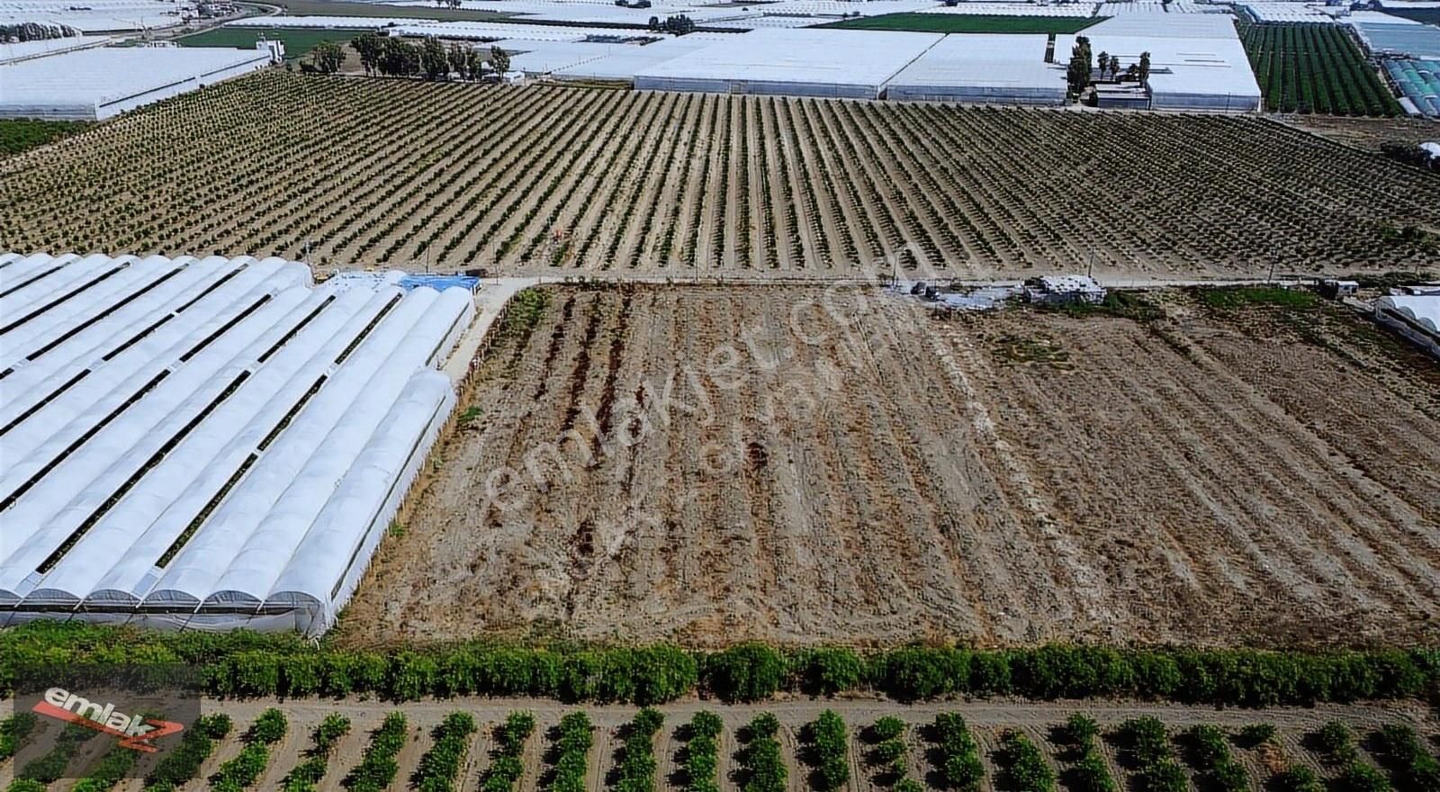 ⫸ｆｉｒｓａｔ⫸ Kazanlı 'da 19.000 M2 Hisseli Satılık Tarla - Görsel 7