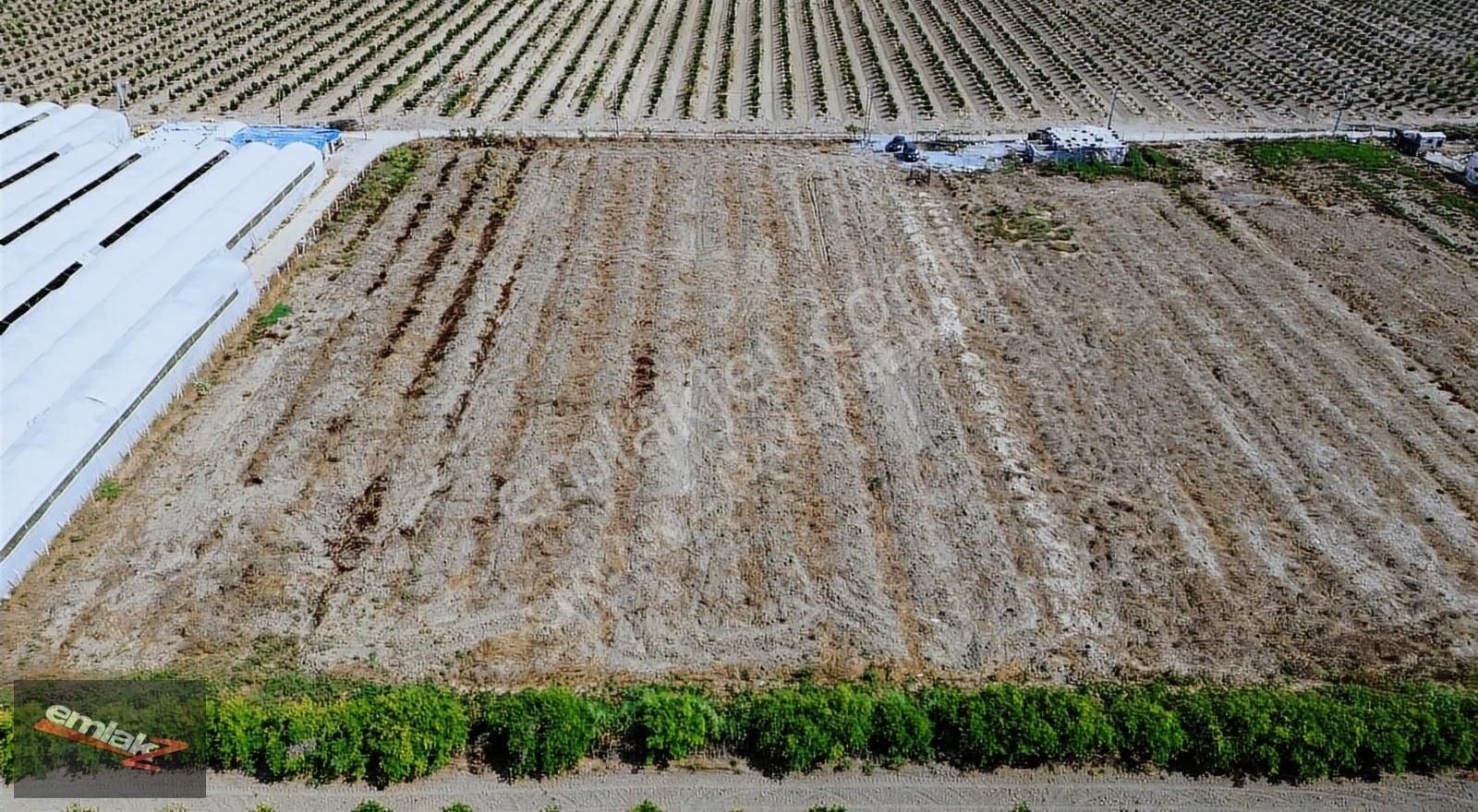 ⫸ｆｉｒｓａｔ⫸ Kazanlı 'da 19.000 M2 Hisseli Satılık Tarla - Görsel 8