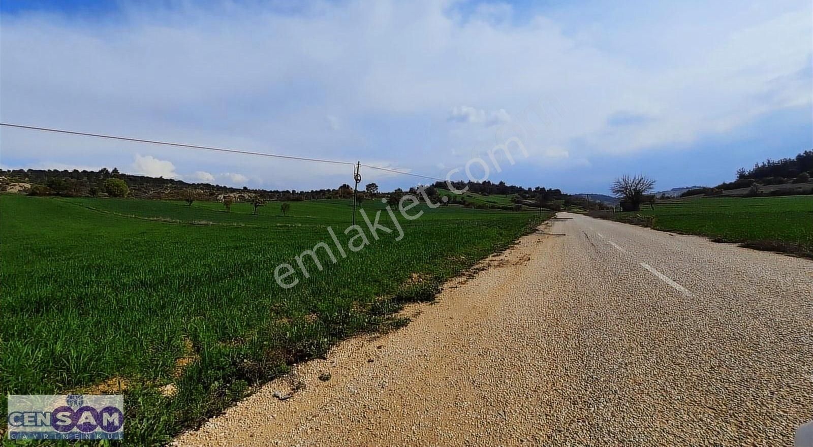 Balıkesir Sındırgı 'da 1.325 M2 Asfalt Yola Yakın Dümdüz Arazi
