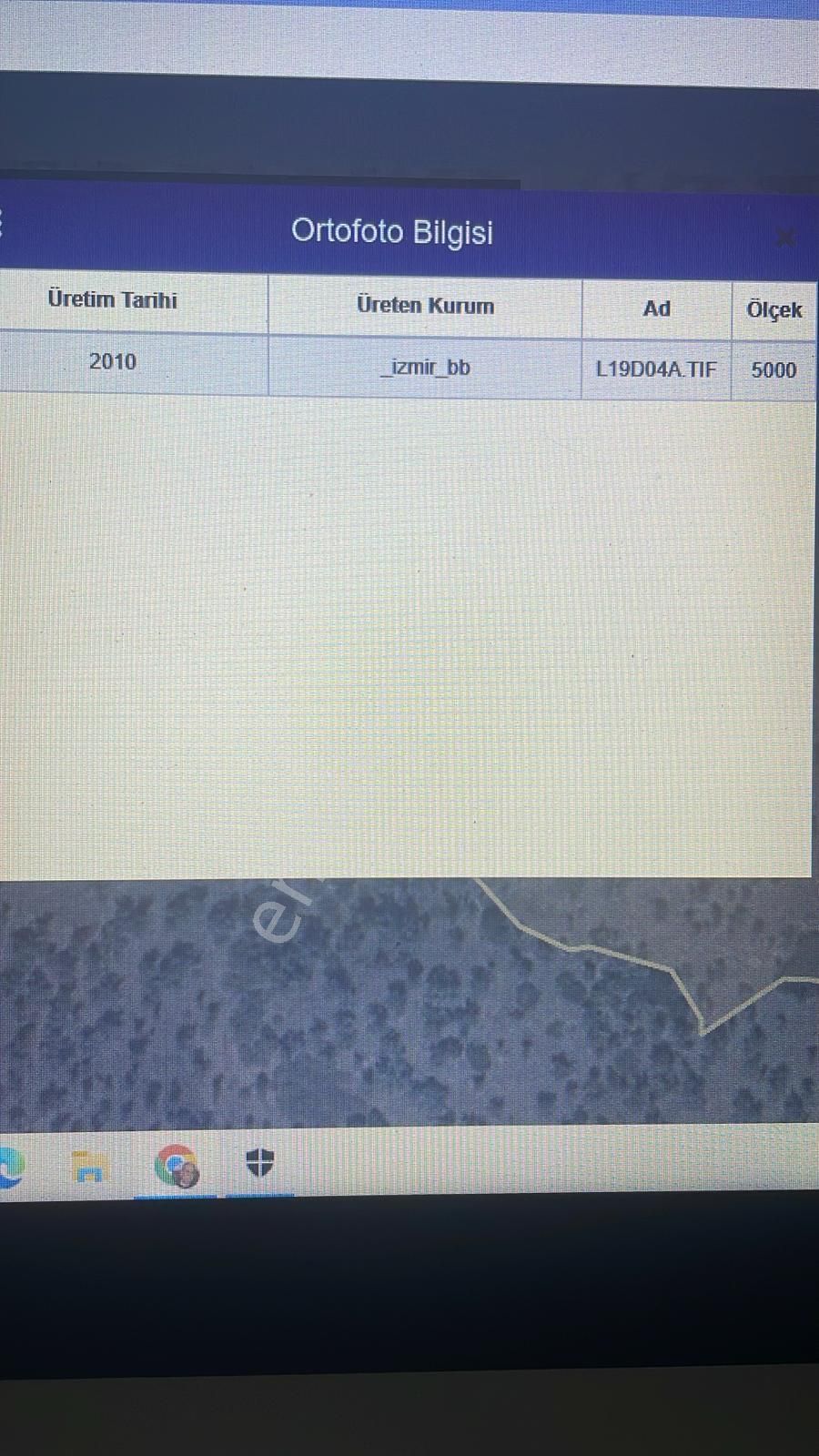 Bayındır Demircilik'te Sahibinden Satılık Yatırımlık Zeytinlik - Görsel 2