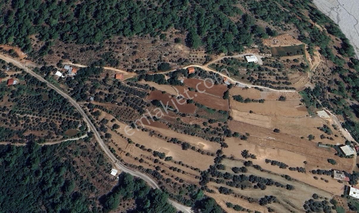 Goldhouse Dan Satılık Tarla Söğütlü De 1512 M2