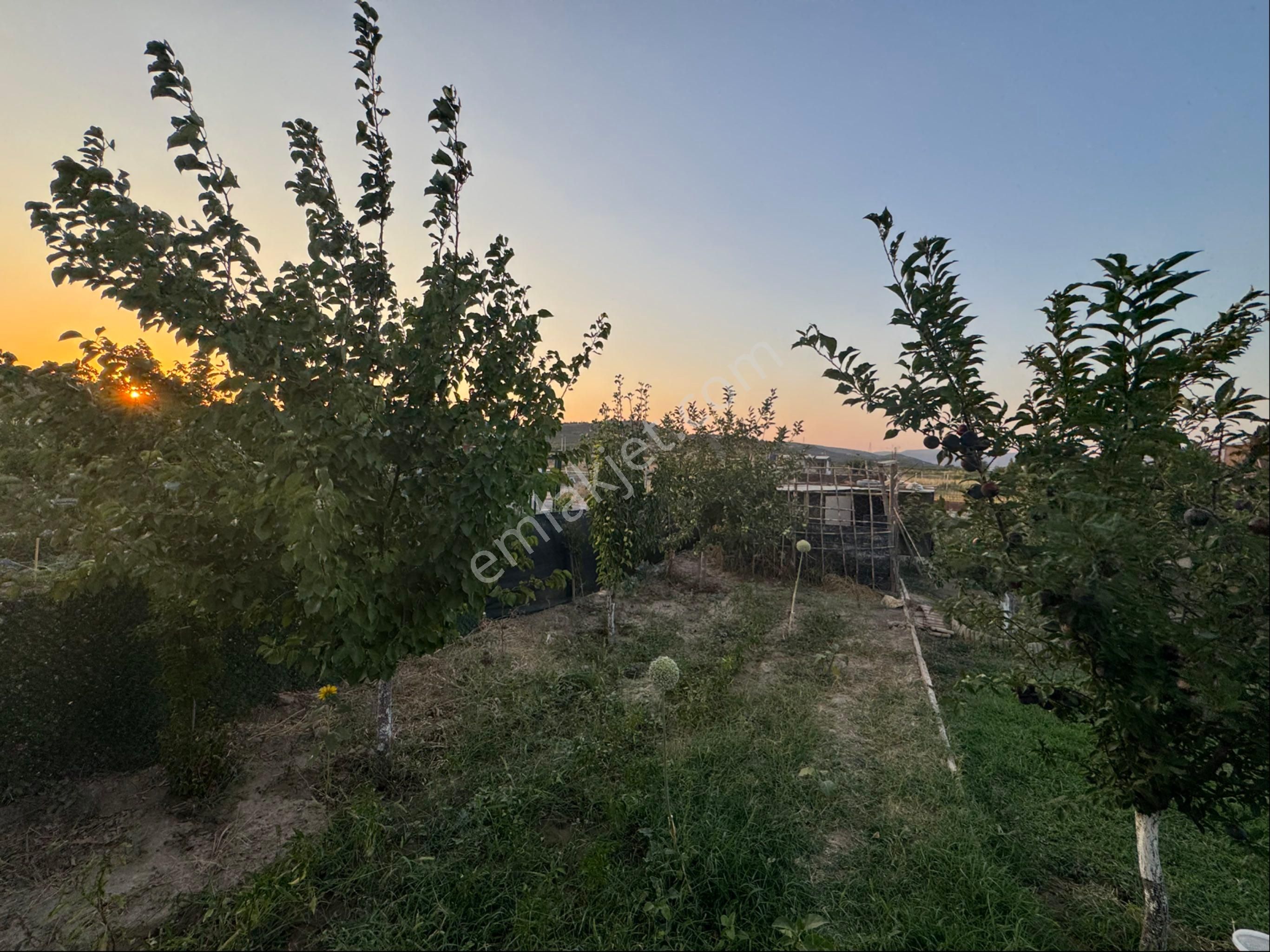 Foça Yolu Üzerinde 550 M2 Arsa Üzerinde Satılık 2+1 Müstakil Ev - Görsel 27