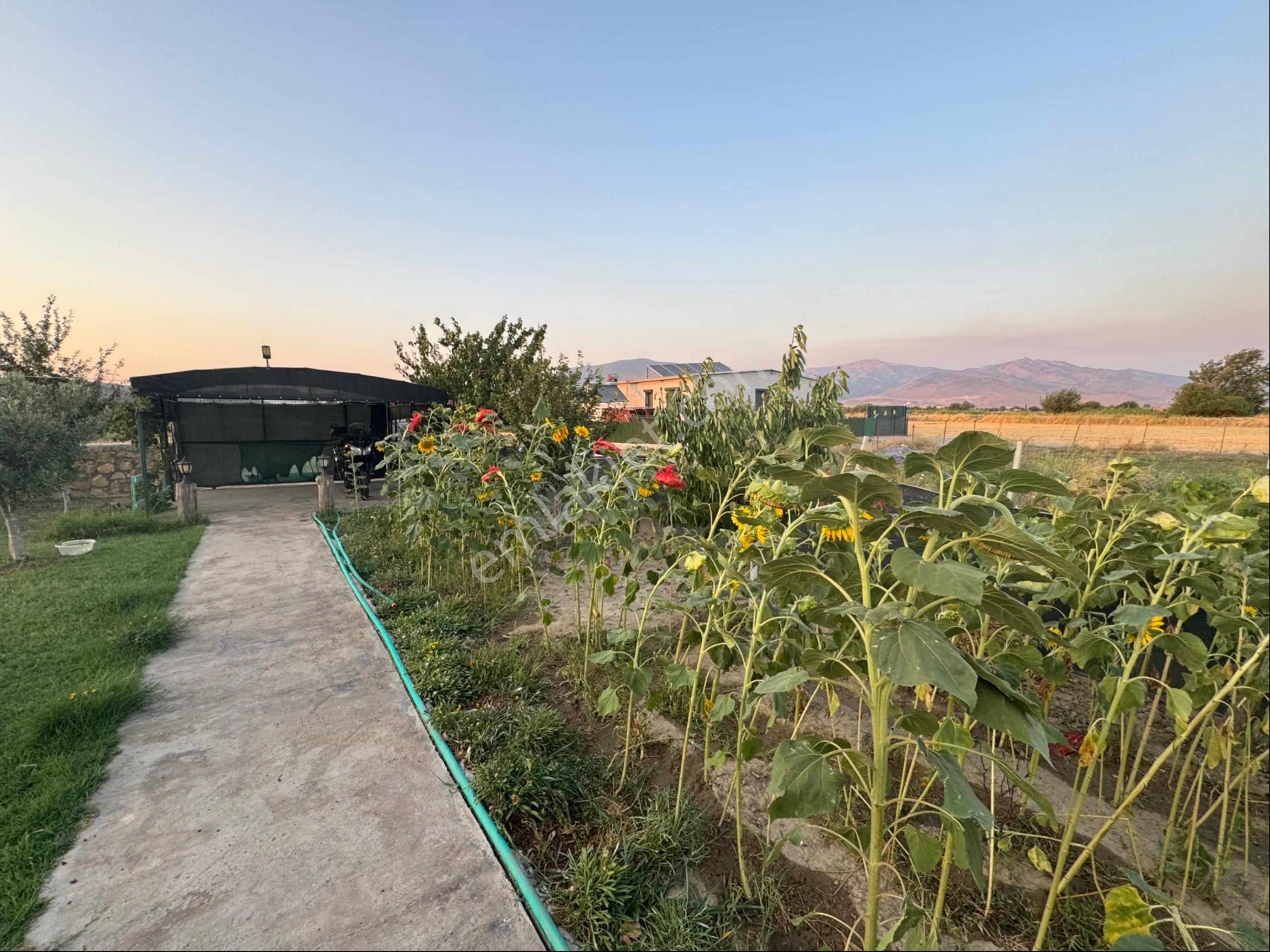 Foça Yolu Üzerinde 550 M2 Arsa Üzerinde Satılık 2+1 Müstakil Ev - Görsel 29