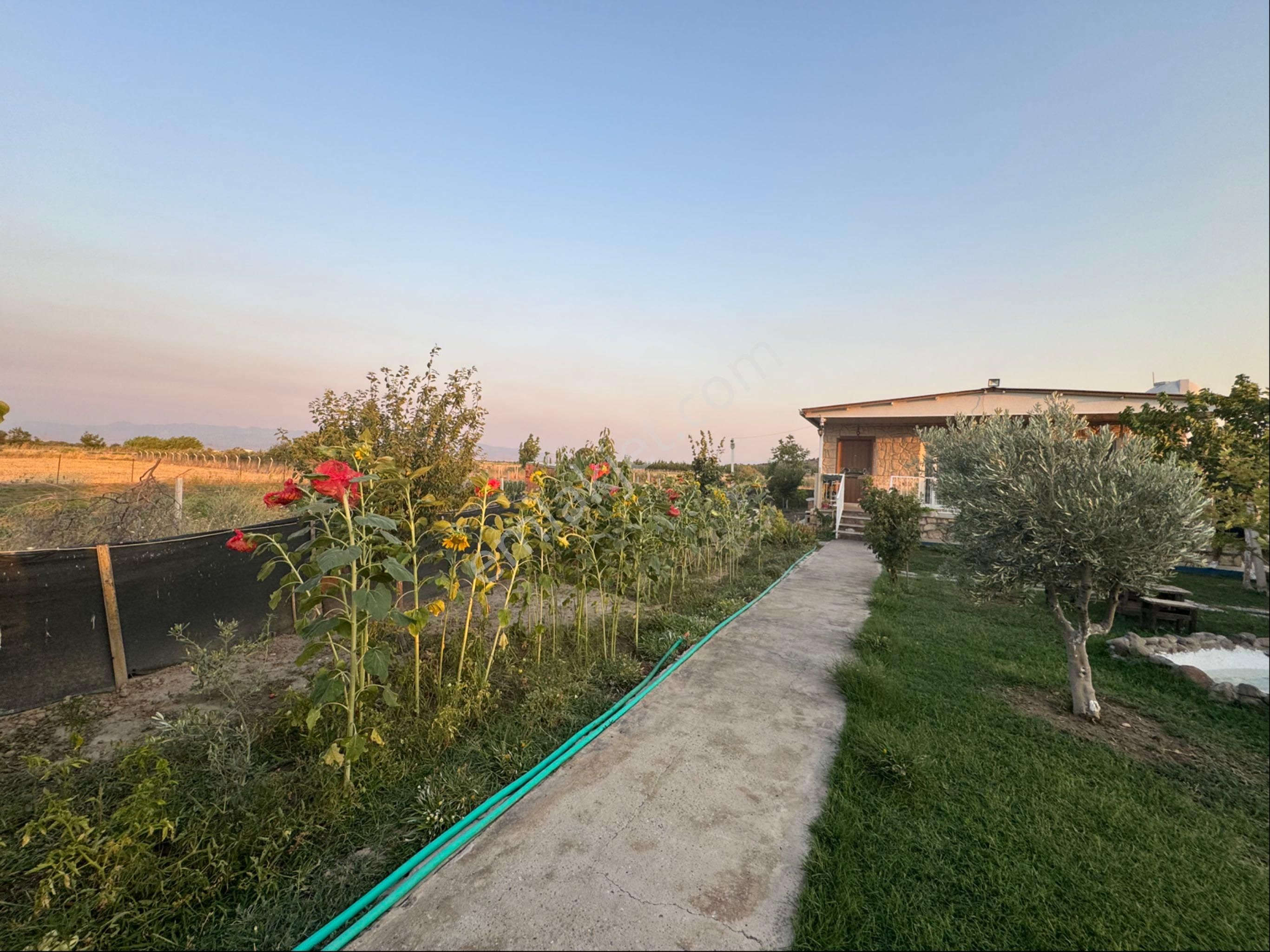 Foça Yolu Üzerinde 550 M2 Arsa Üzerinde Satılık 2+1 Müstakil Ev - Görsel 5