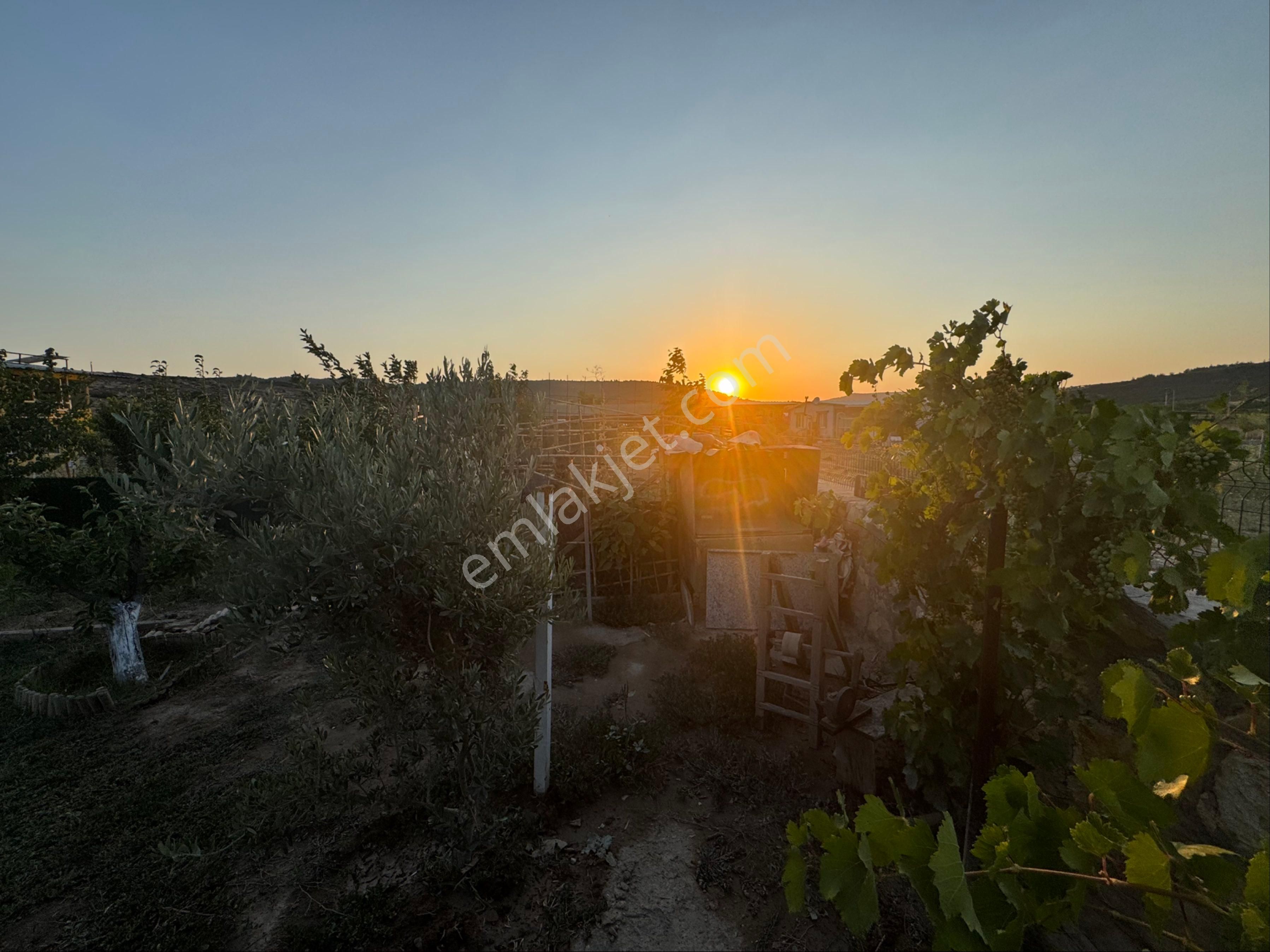 Foça Yolu Üzerinde 550 M2 Arsa Üzerinde Satılık 2+1 Müstakil Ev - Görsel 3