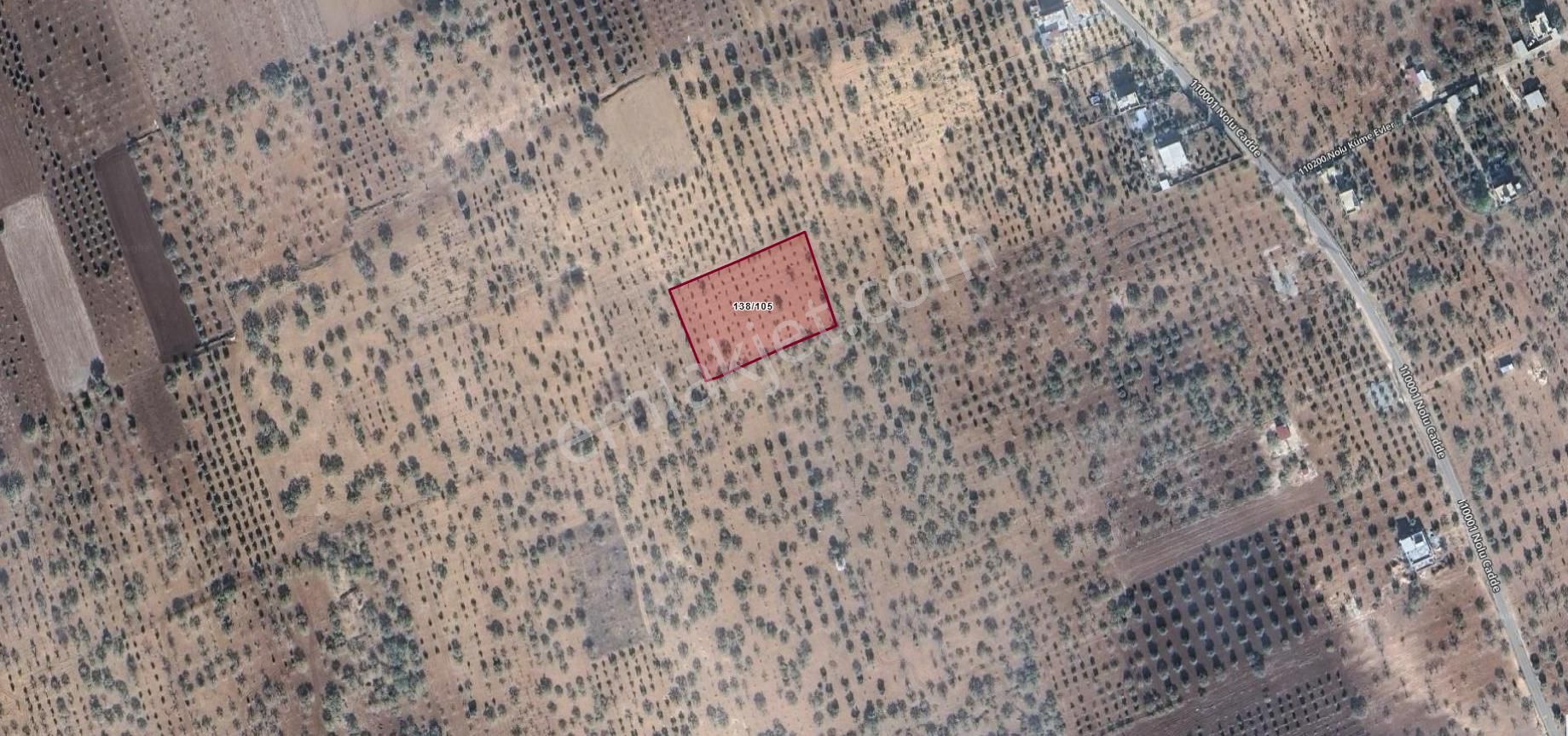 Hanedan Gyo'dan Yağdöverde Satılık 4.426m² Fıstıklık